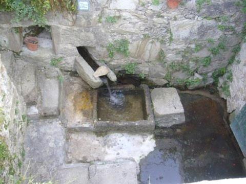 Photo 90