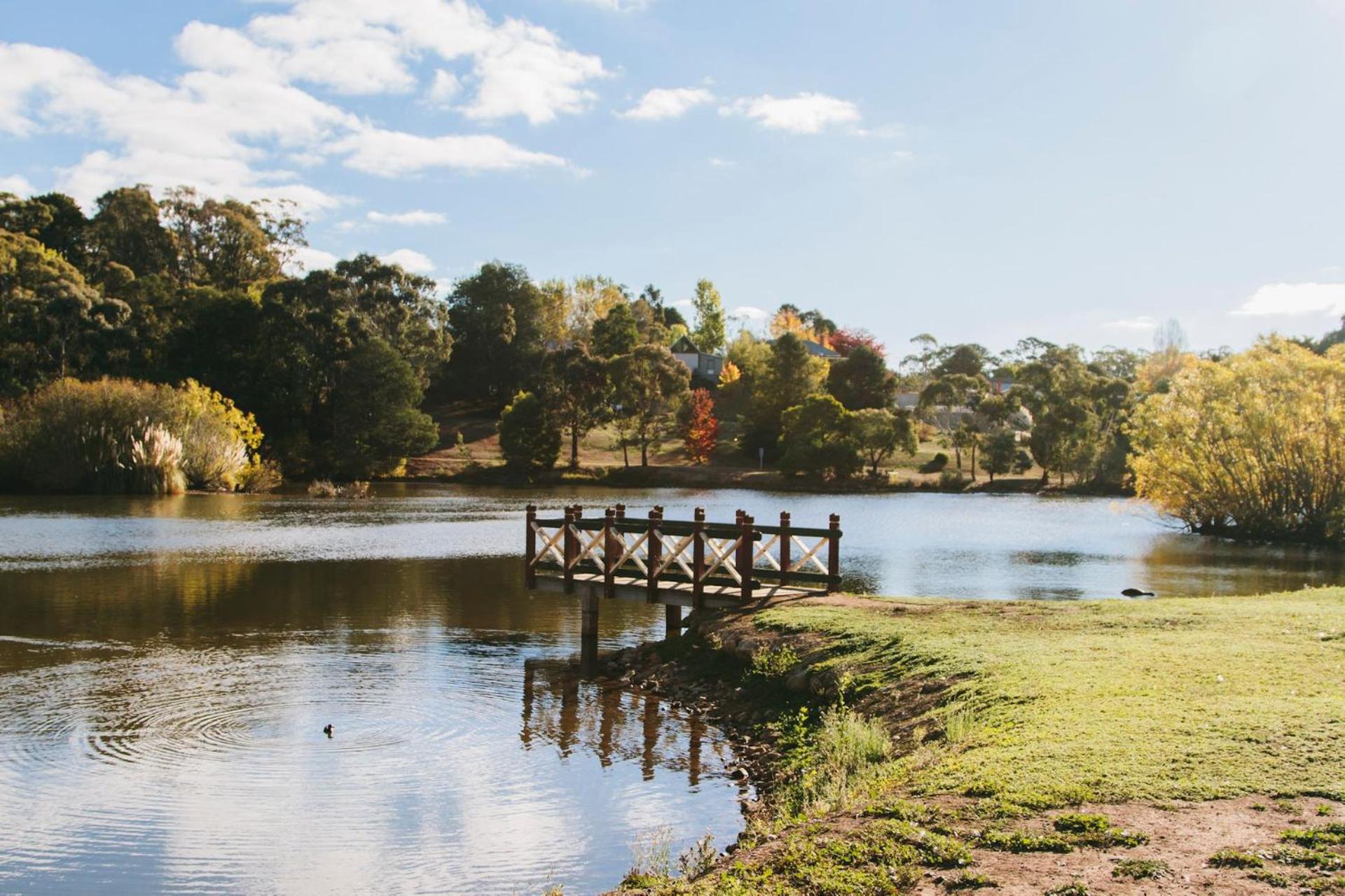 Chestnut - charming cottage in Daylesford