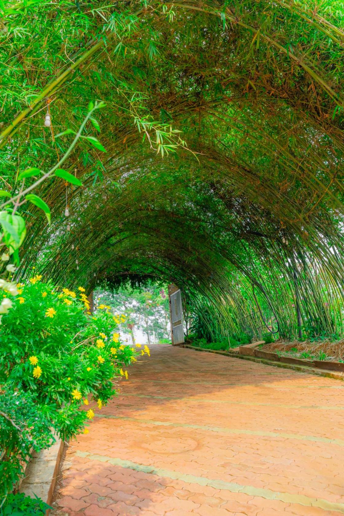 Phuong Nam Gia Trang Farmstay view 3