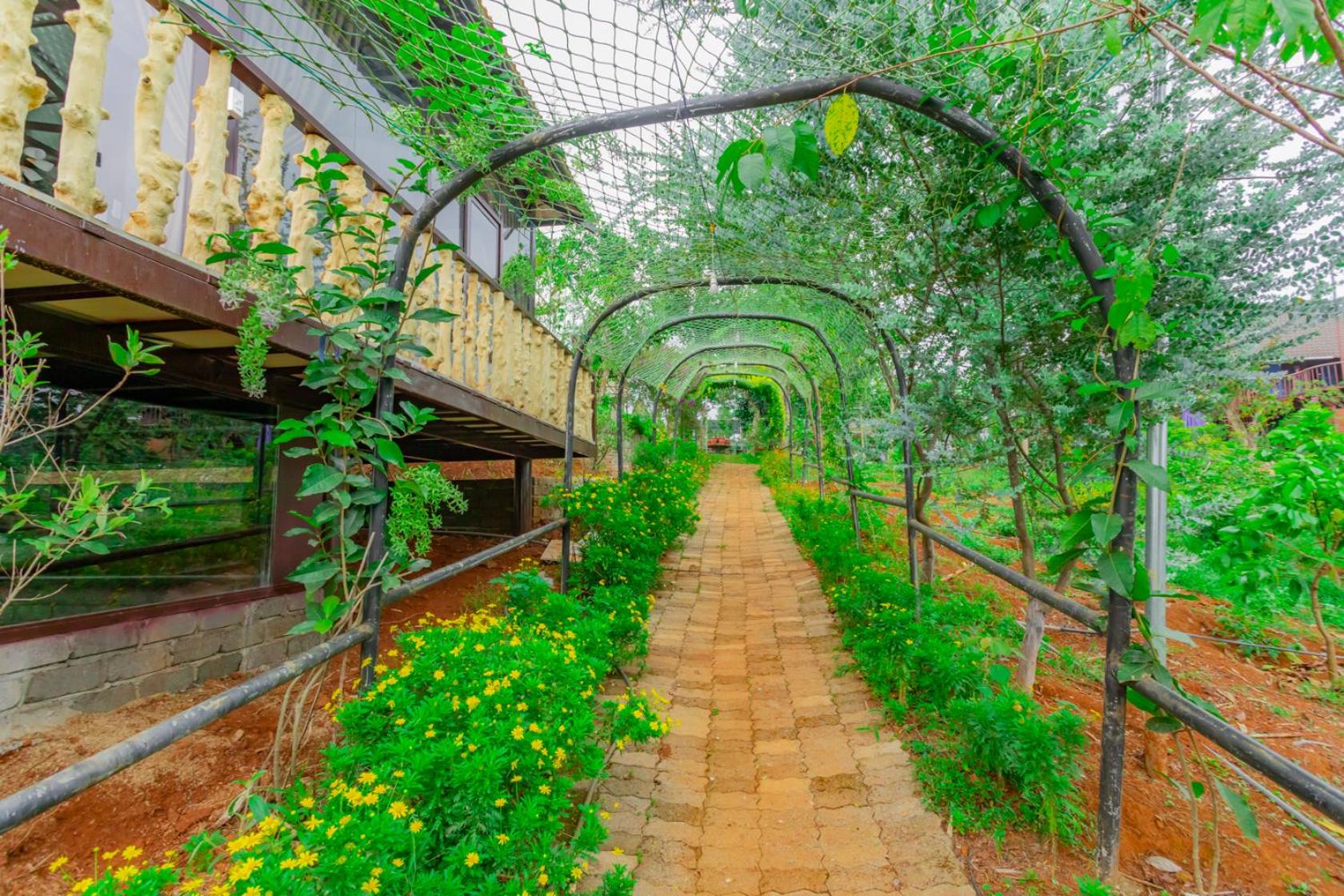 Phuong Nam Gia Trang Farmstay view 4