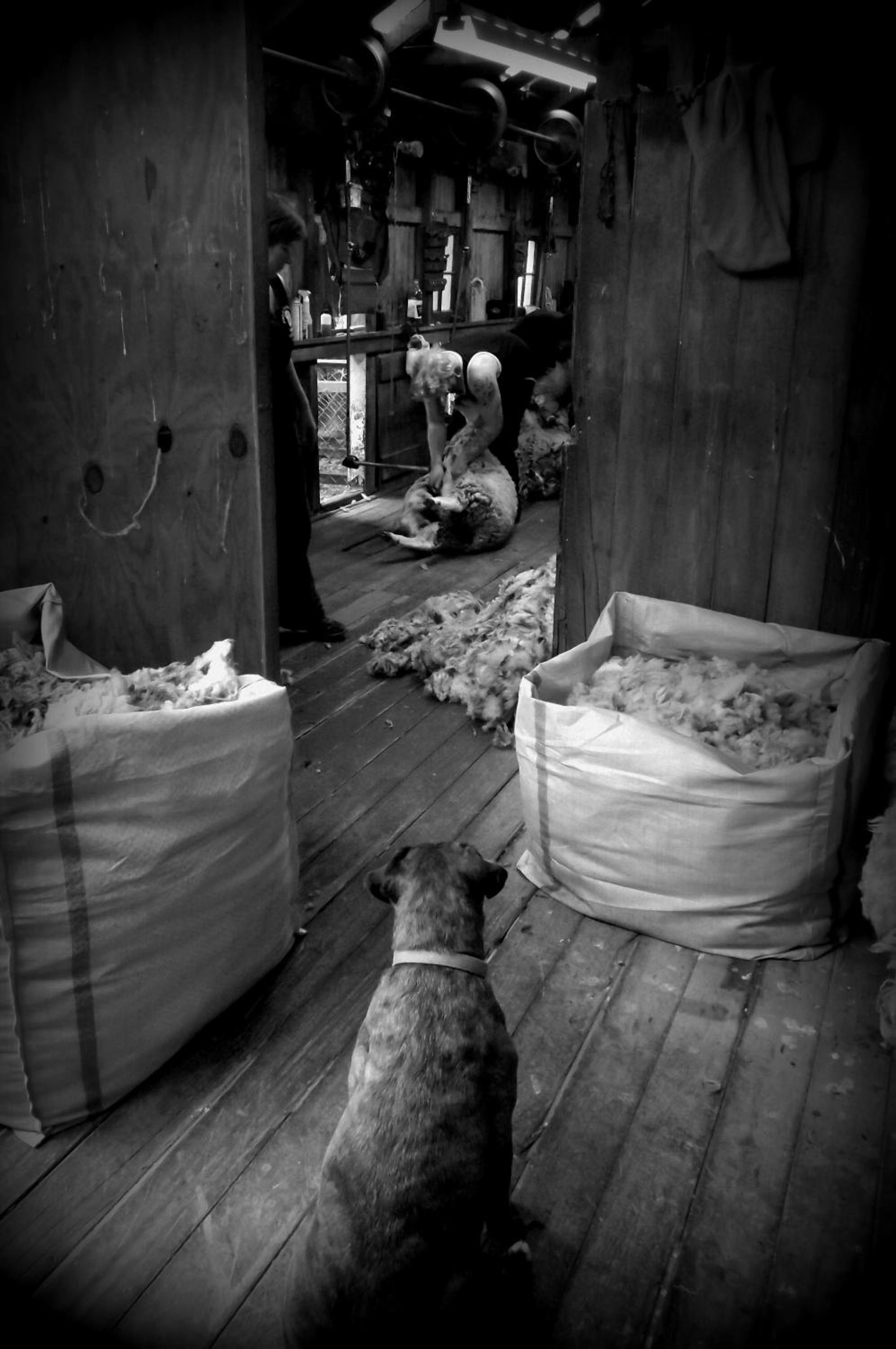 Photo 48