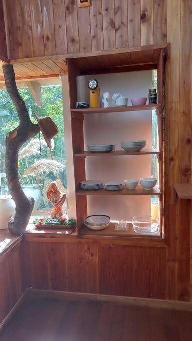 Agradable Cabaña inserta en bosque nativo