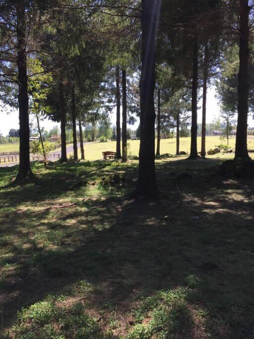 Agradable Cabaña inserta en bosque nativo