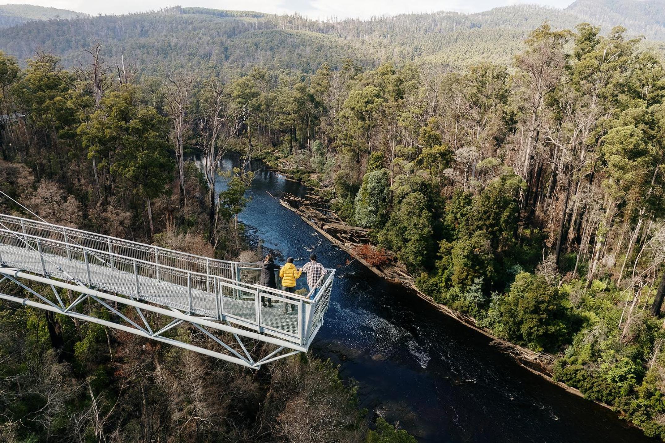 Tahune AirWalk Cabin and Lodge