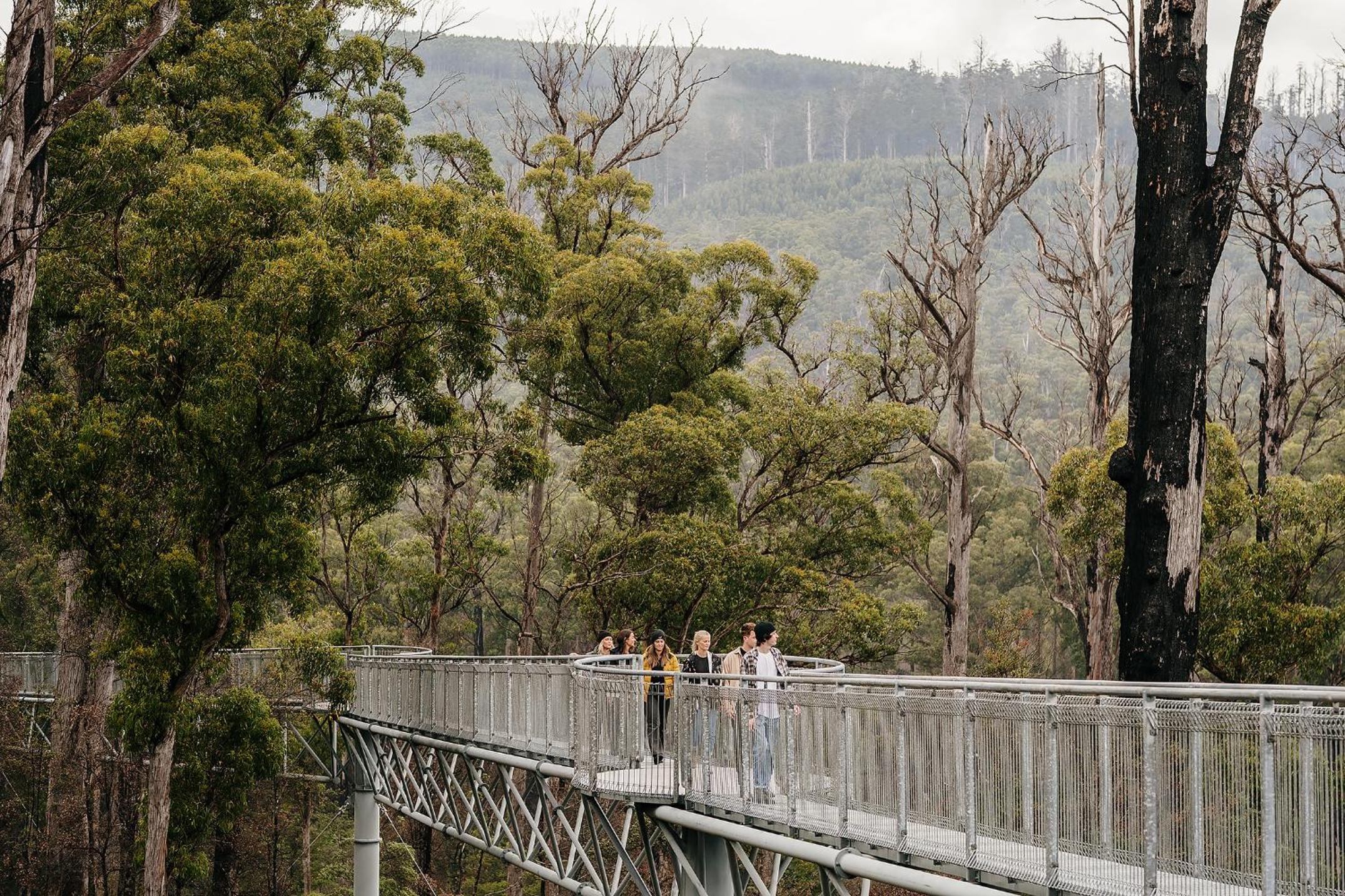 Tahune AirWalk Cabin and Lodge