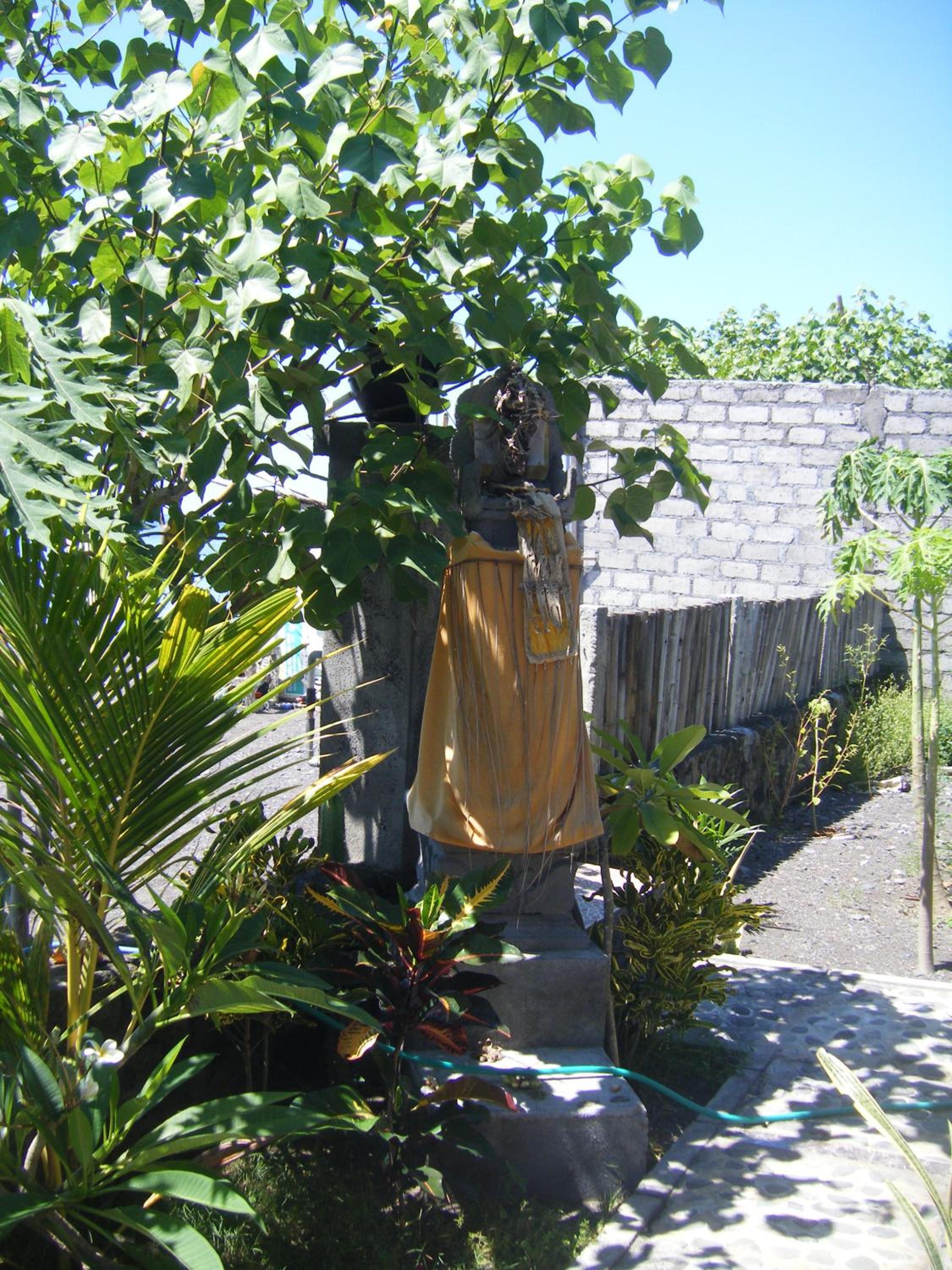 Photo 22