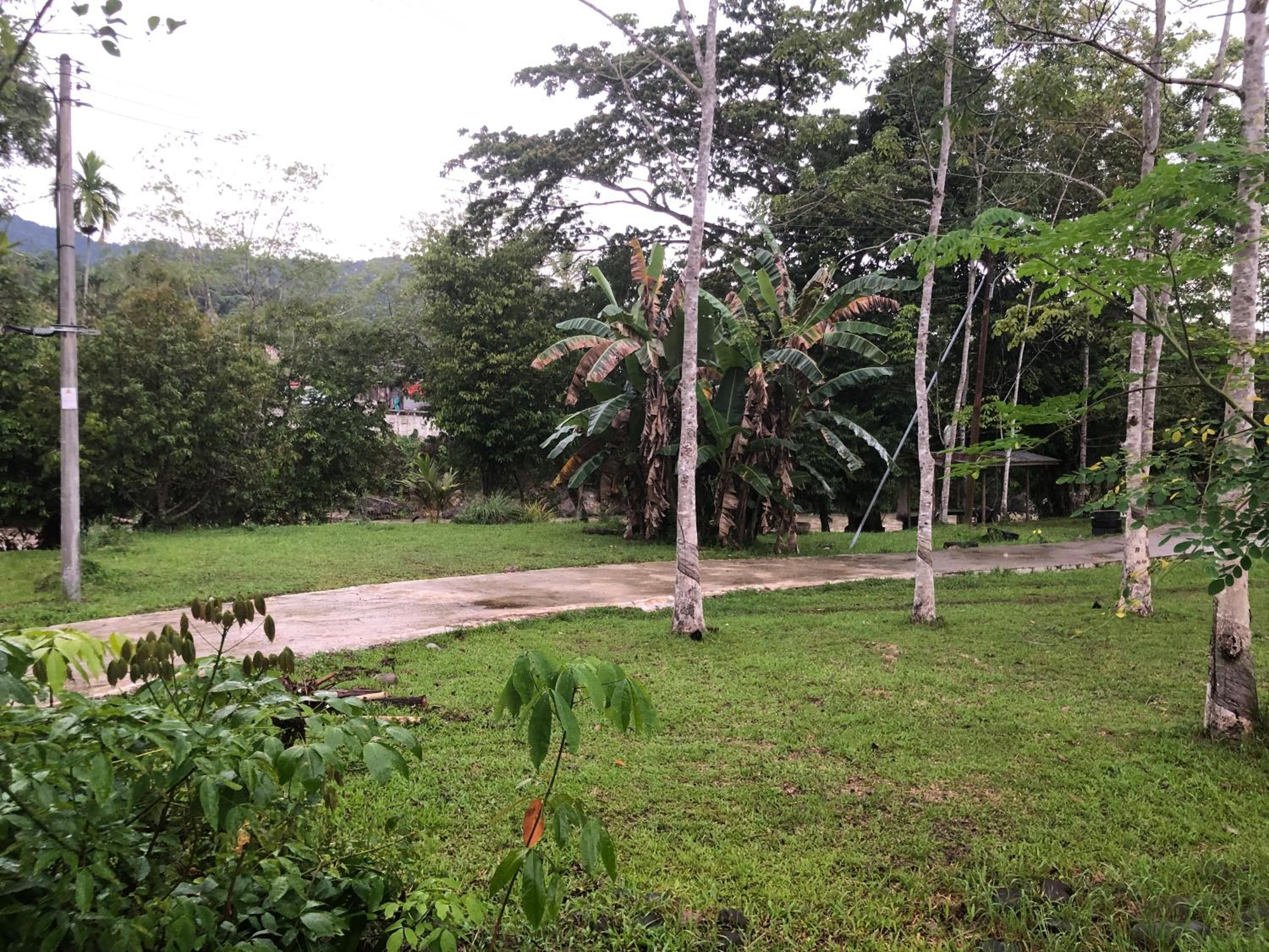 Photo 16