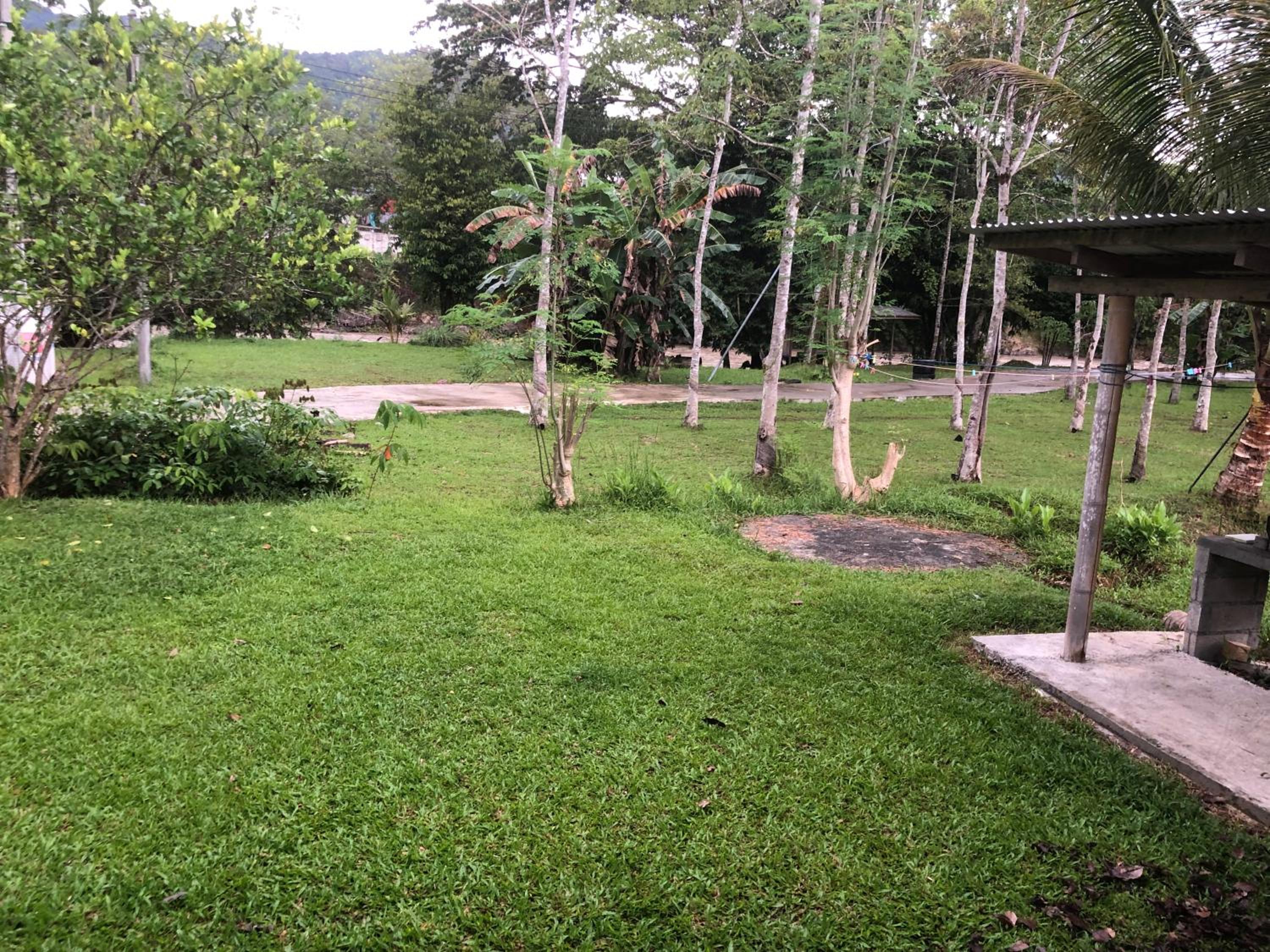 Photo 17