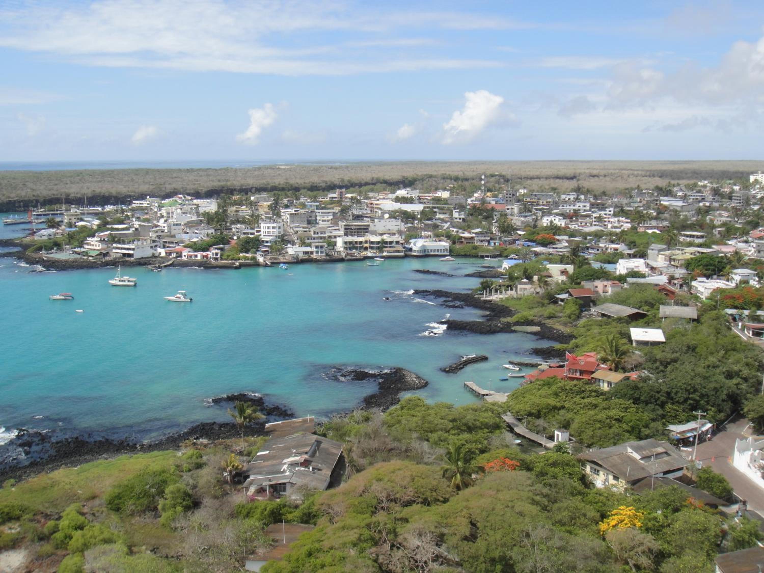 Ocean Dreams Galapagos