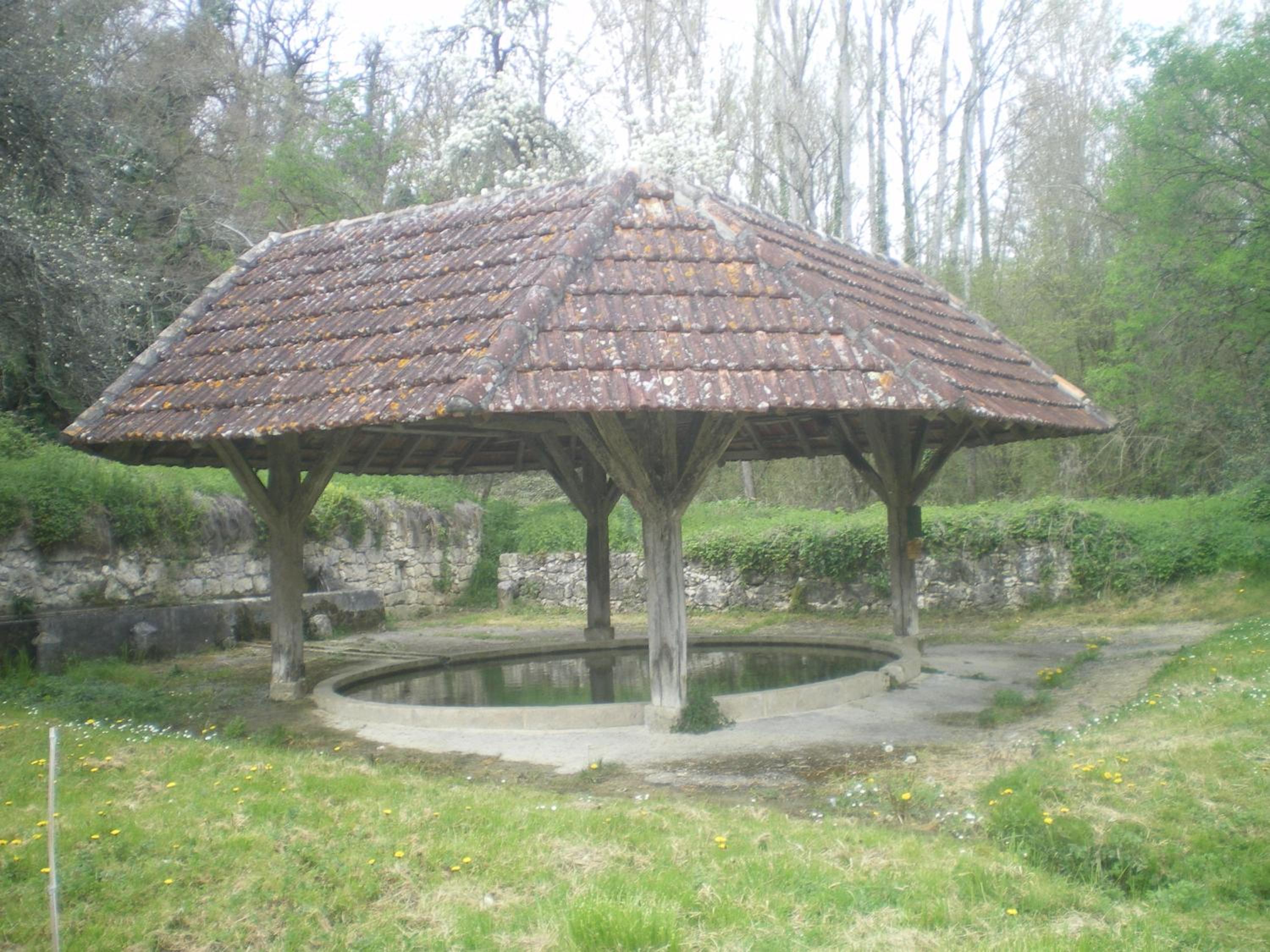 Photo 13