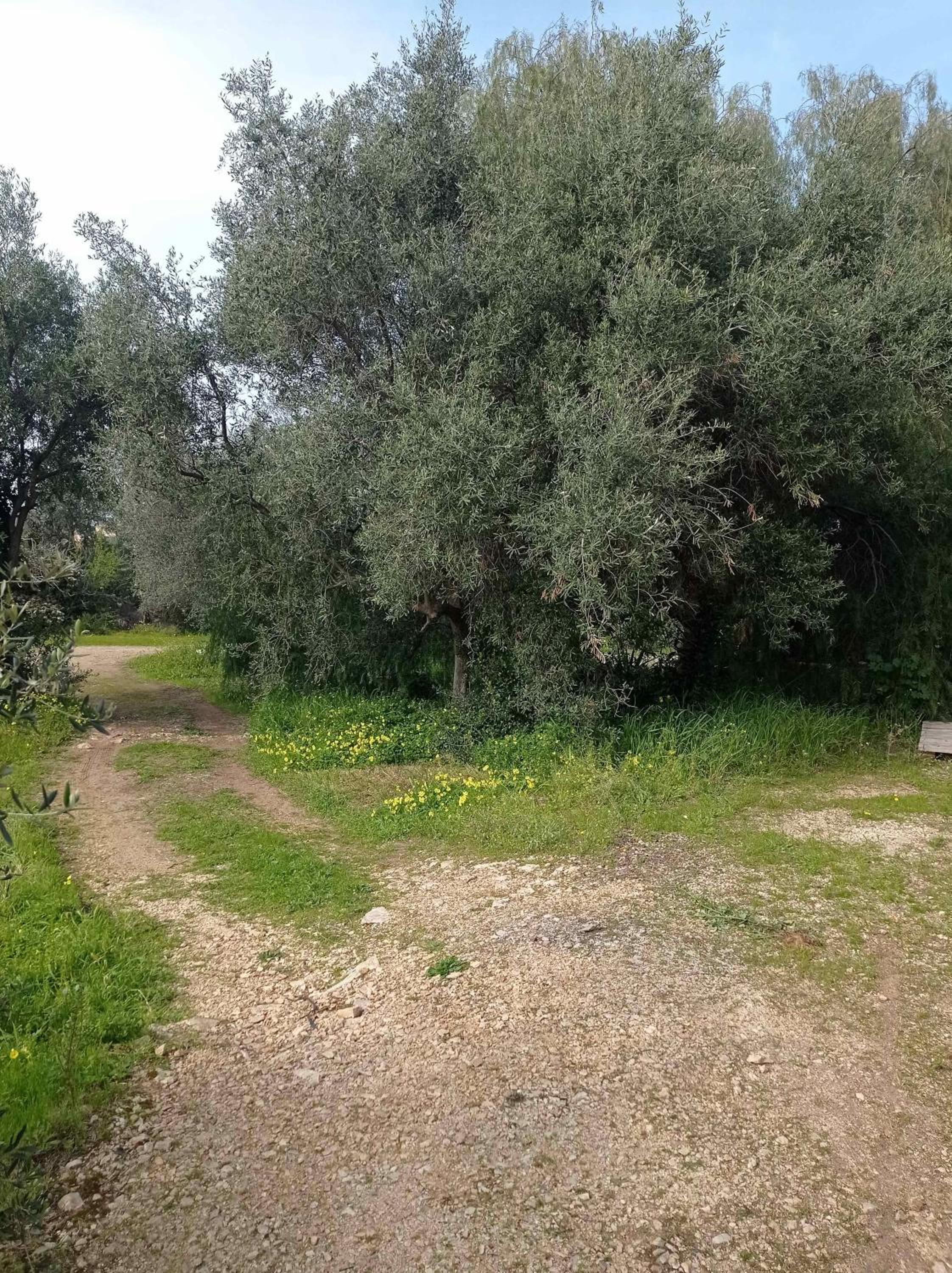 Villetta Lepore
