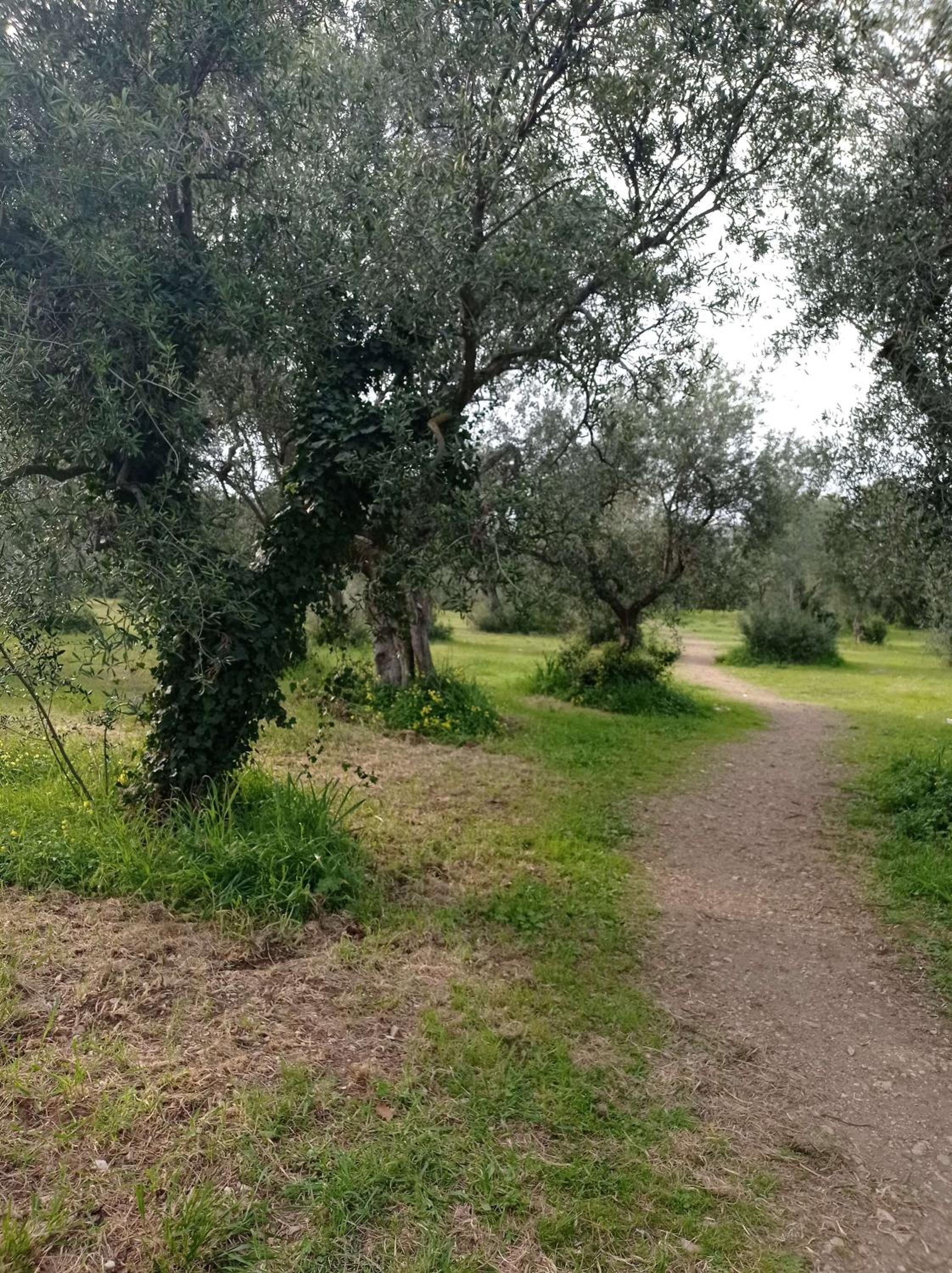 Villetta Lepore