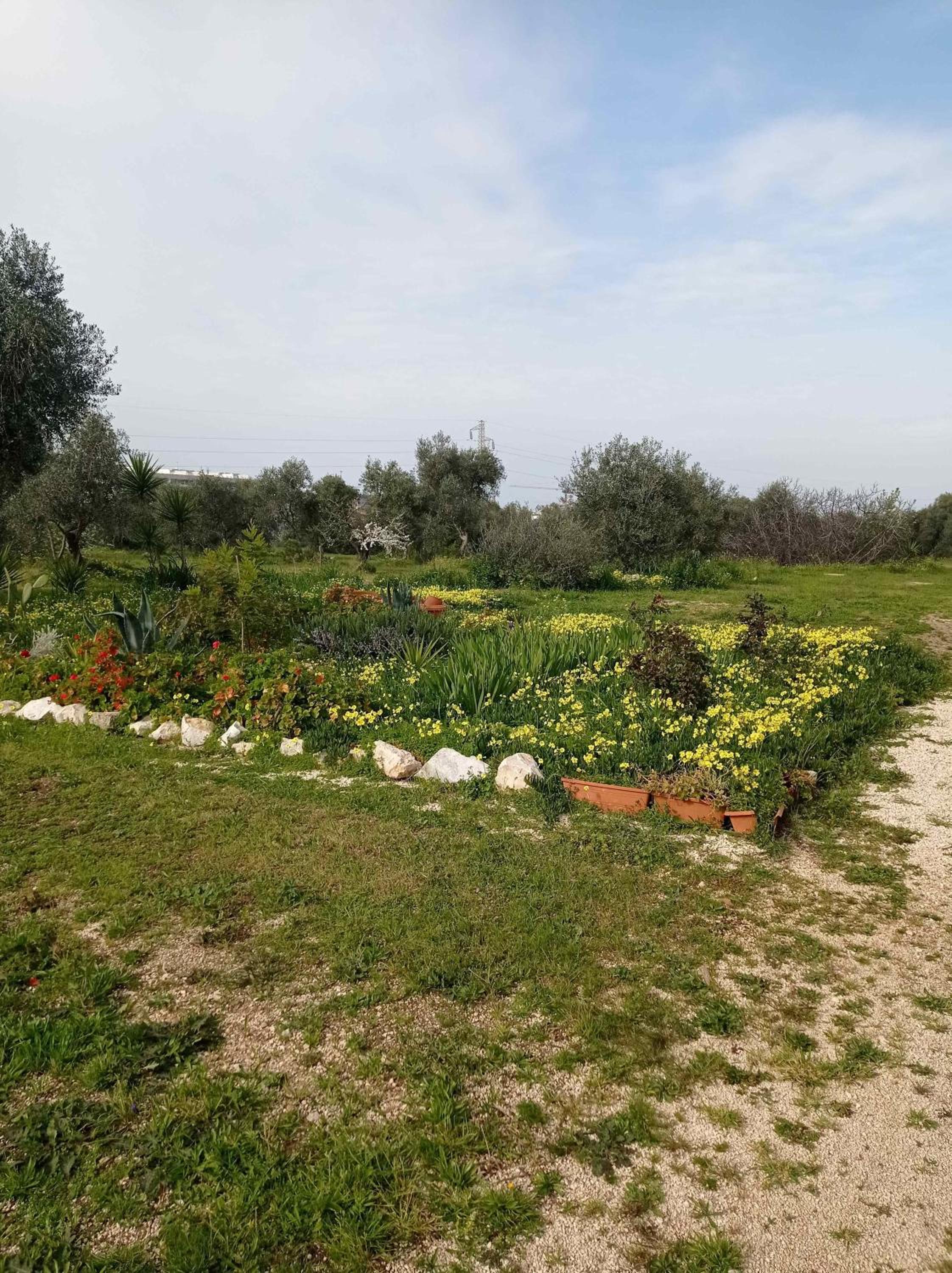 Villetta Lepore