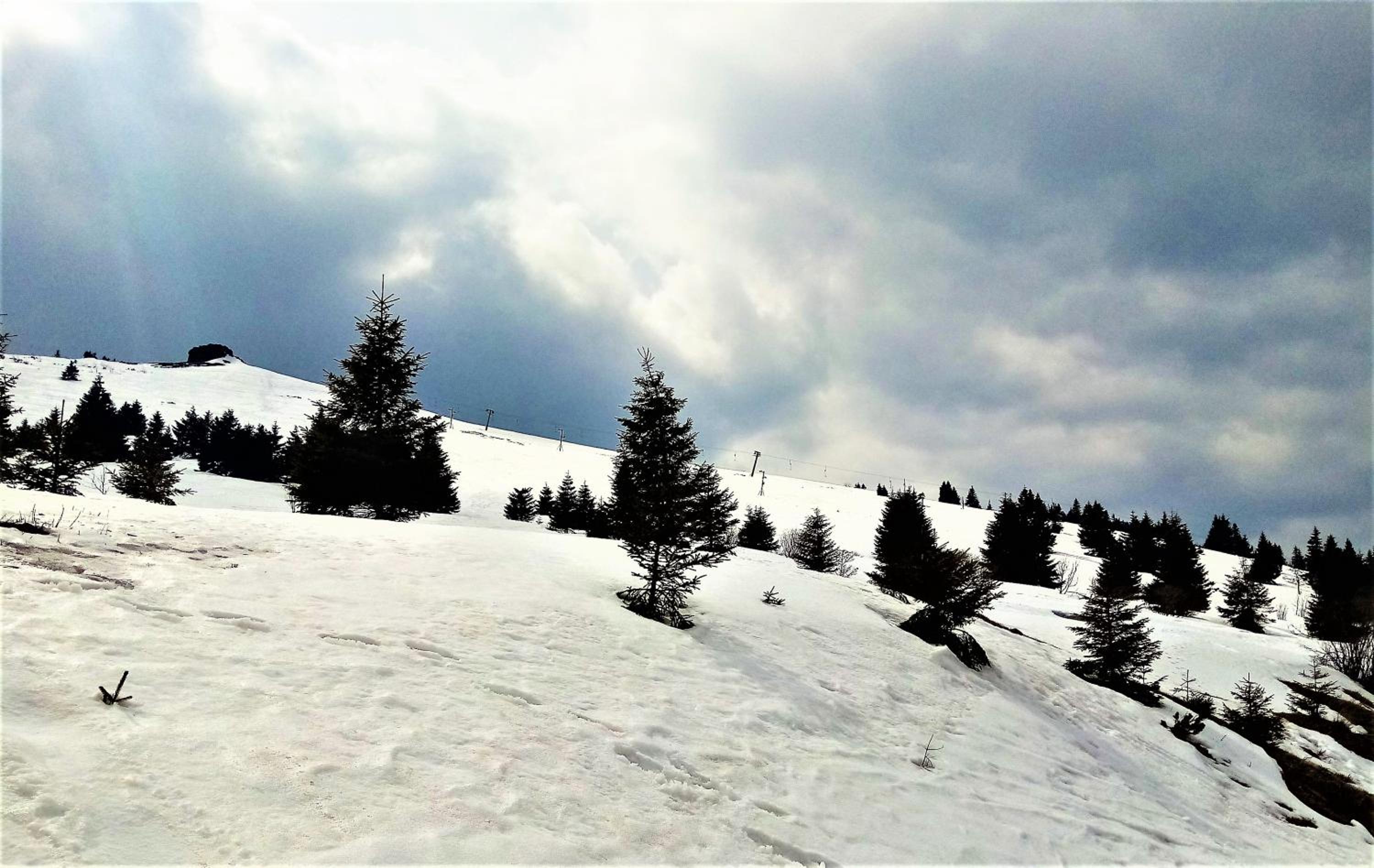 Photo 50