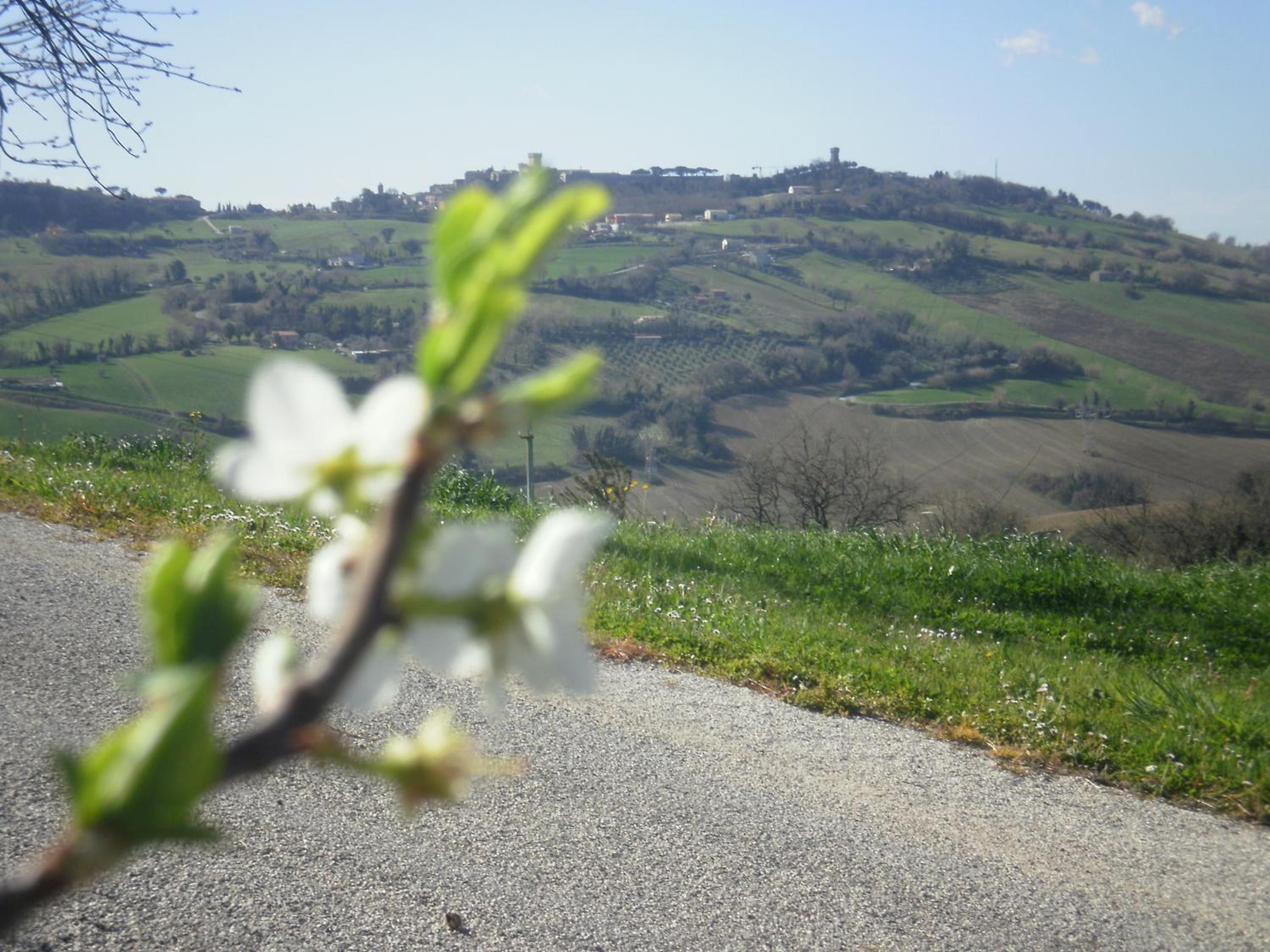 Casale Montesicuro