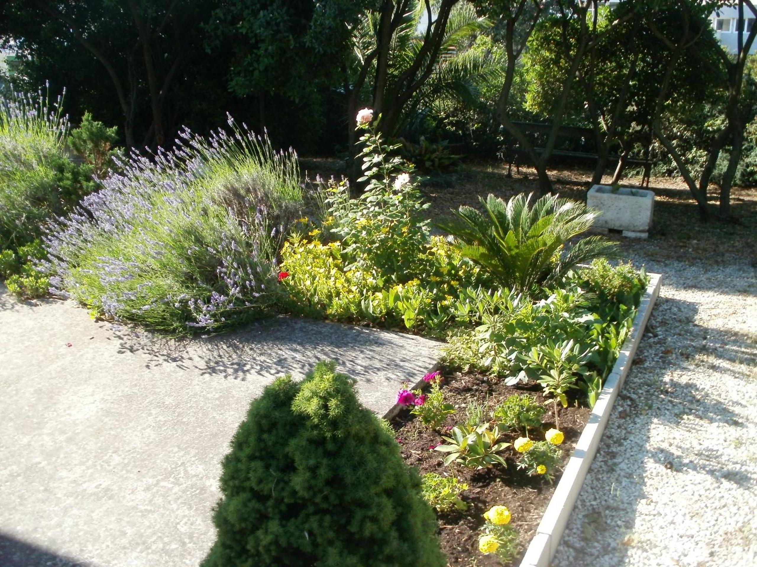 Photo 8