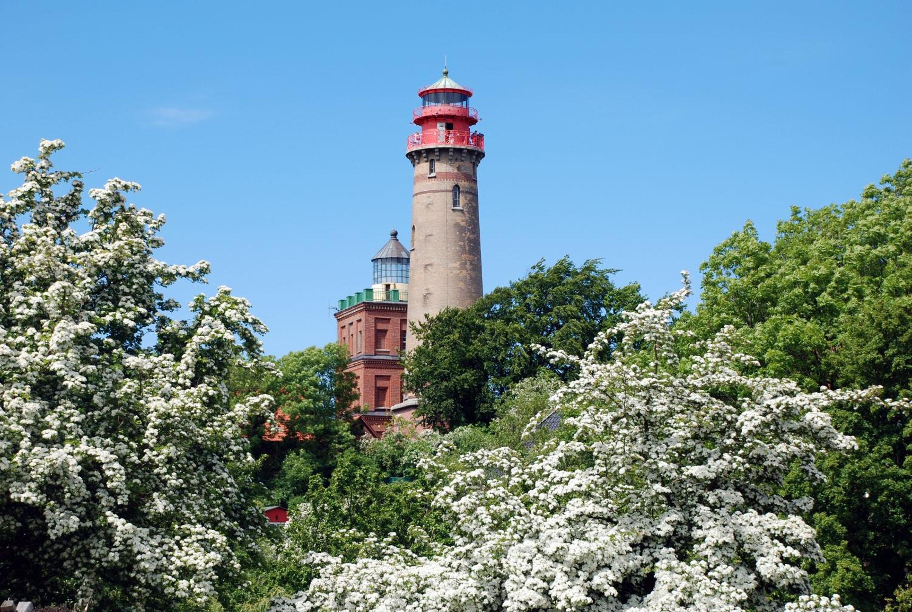 Ferienwohnung Patzig auf Rügen view 5