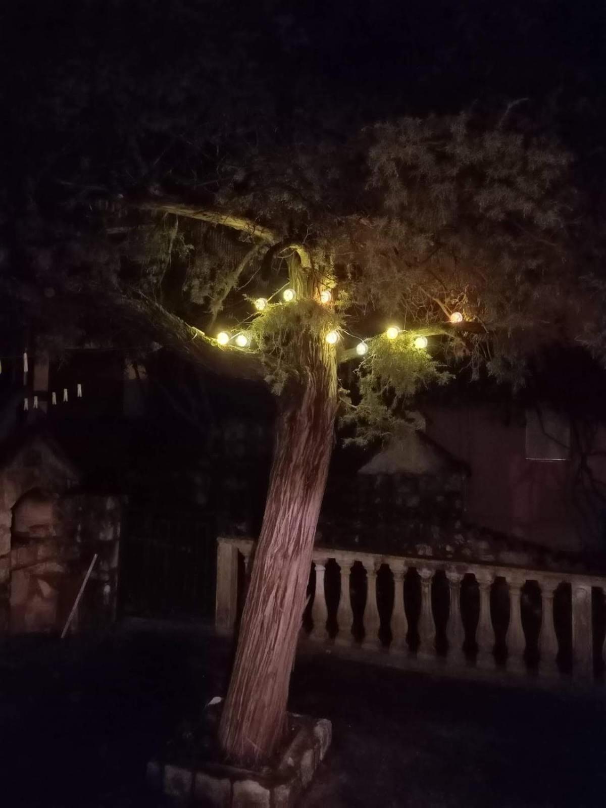 Studio Happy Montenegro photo 3