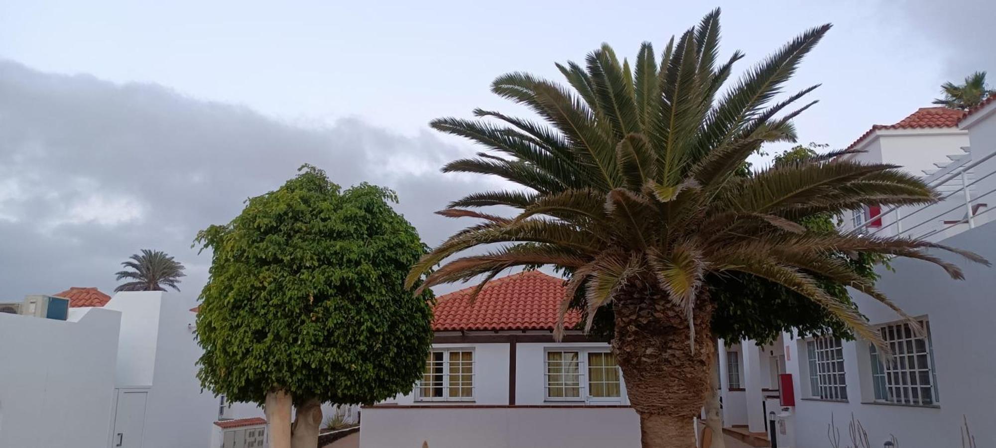 Las Casitas de Corralejo view 5