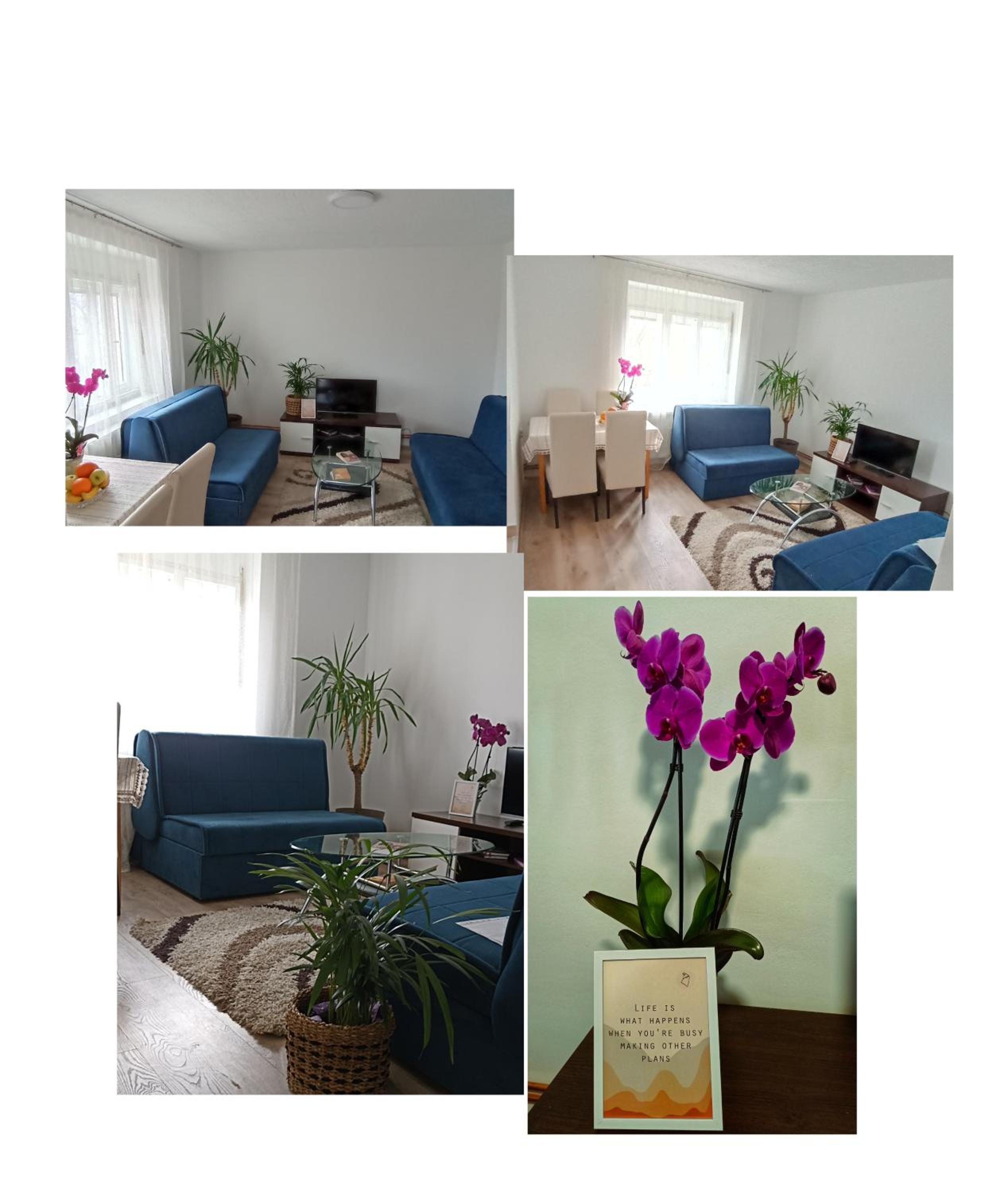 Apartman Mihajlović view 4