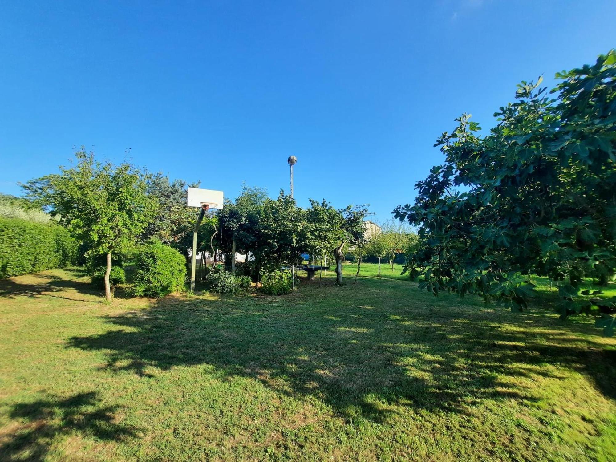 Casetta in Collina photo 5