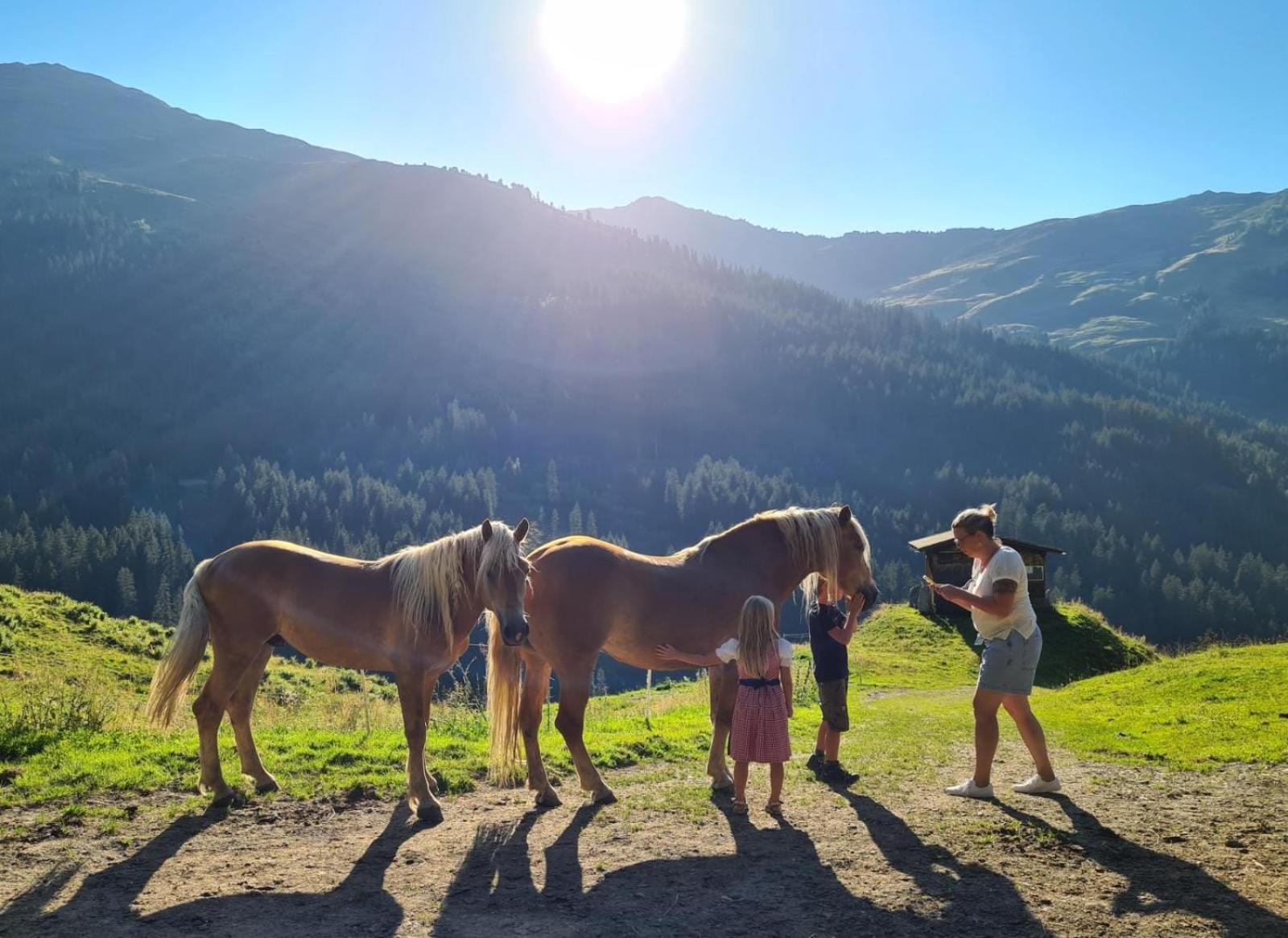 Brixnerhof im Zillertal