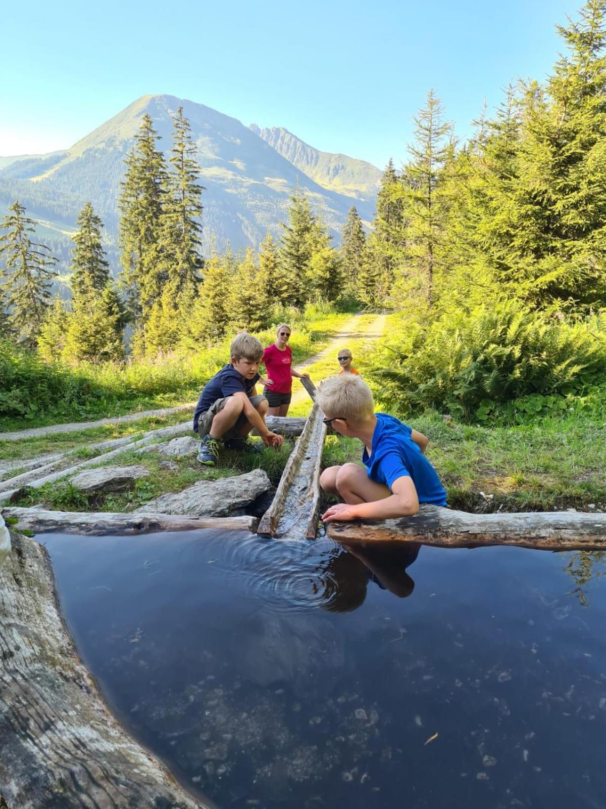 Brixnerhof im Zillertal