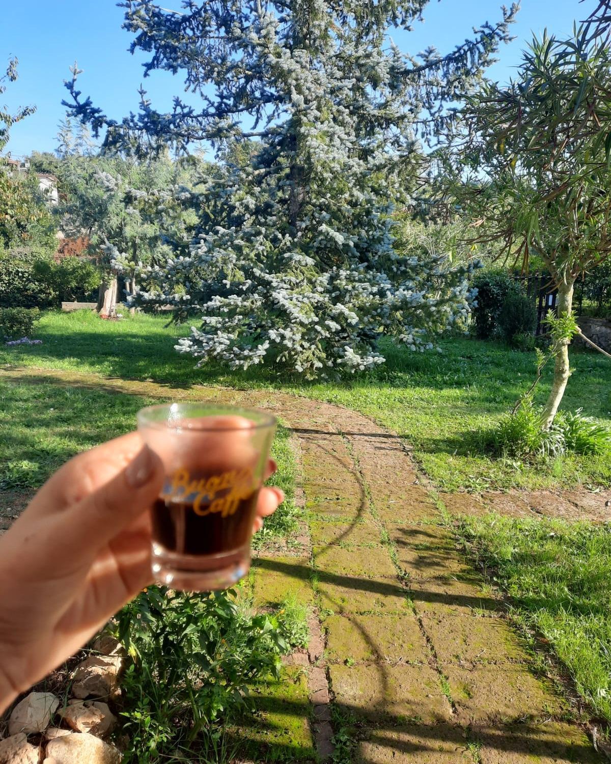 Casetta in Collina photo 3