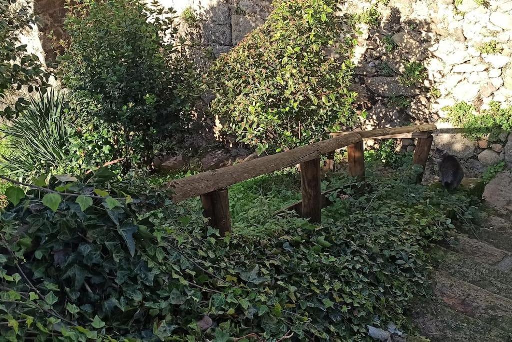 Photo 41
