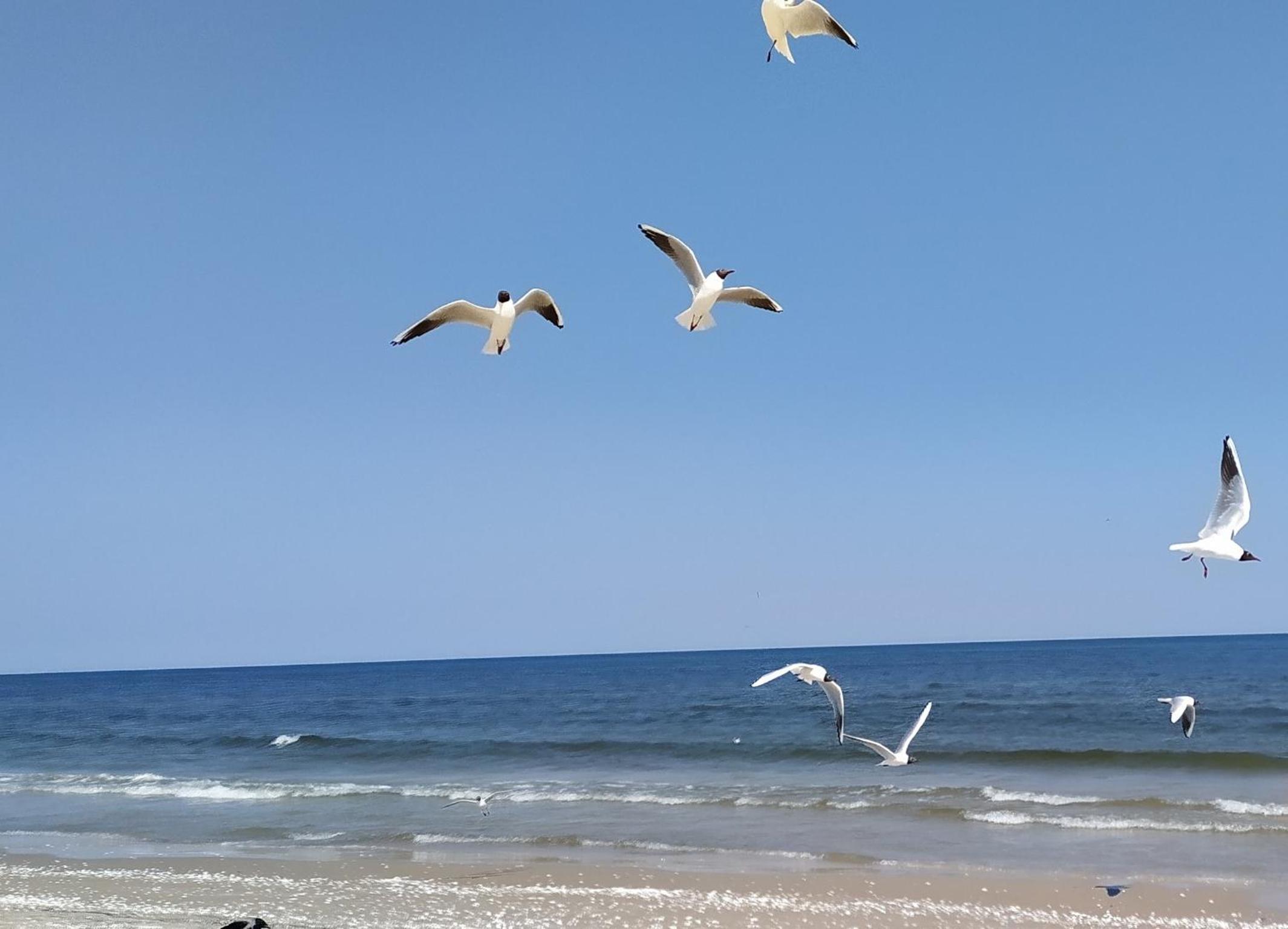Ostseeoase Zinnowitz