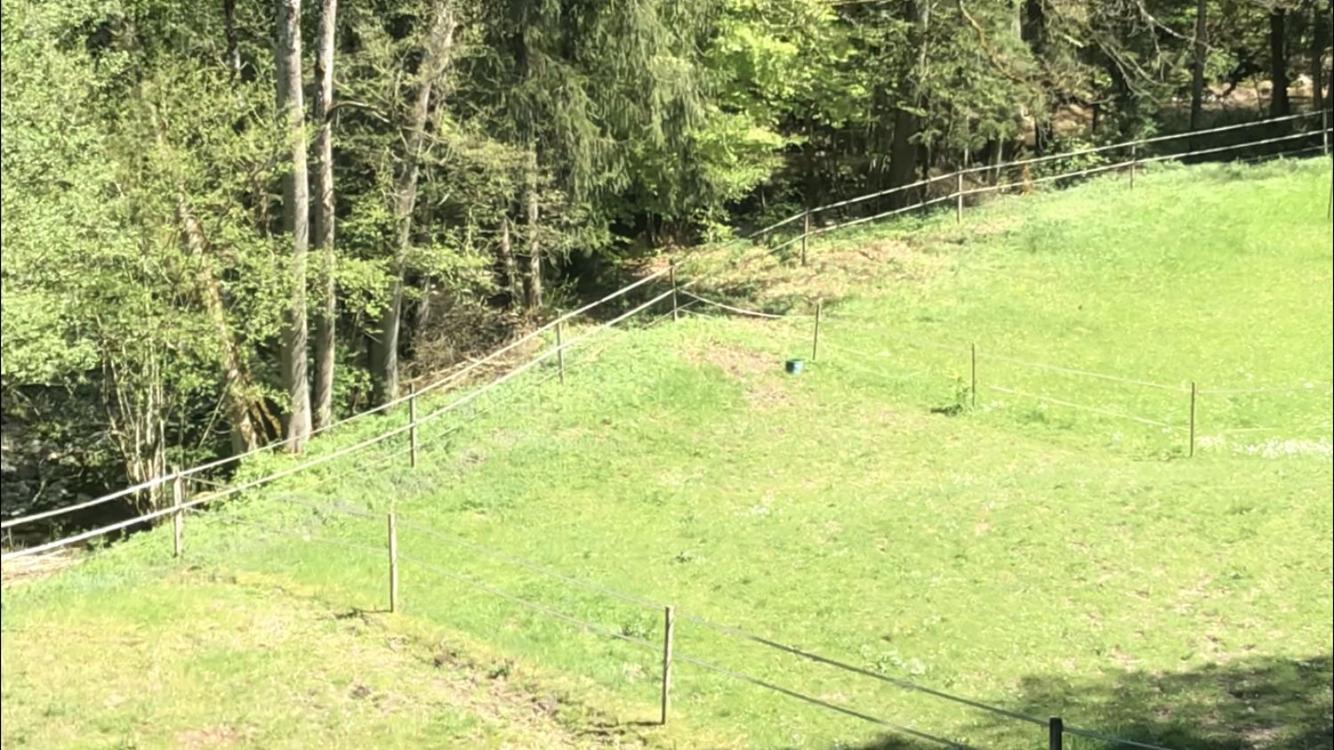 Sérénité et nature dans une ferme équestre - studio familial