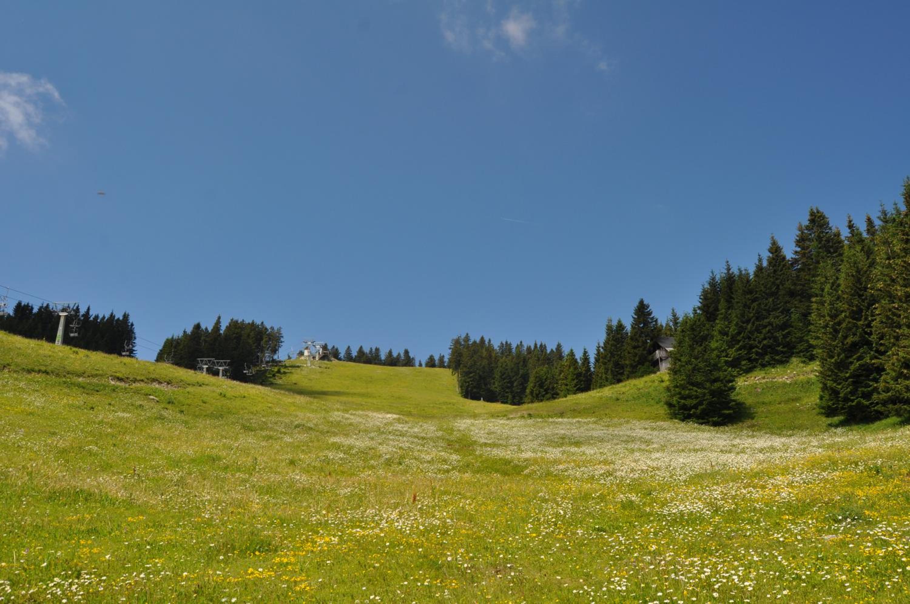 Apartment MOUNTAIN PARADISE Golte view 5