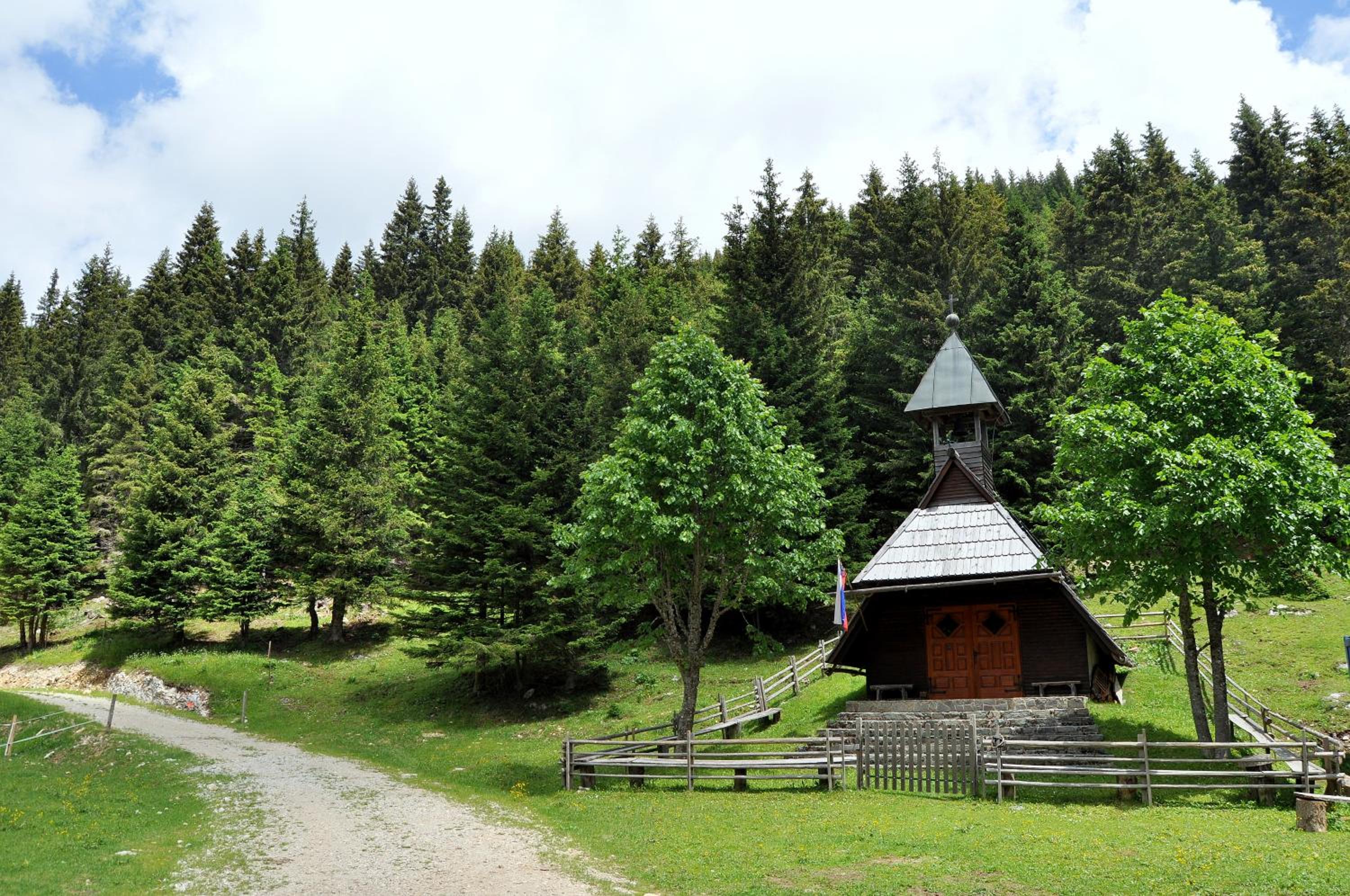 Photo 6