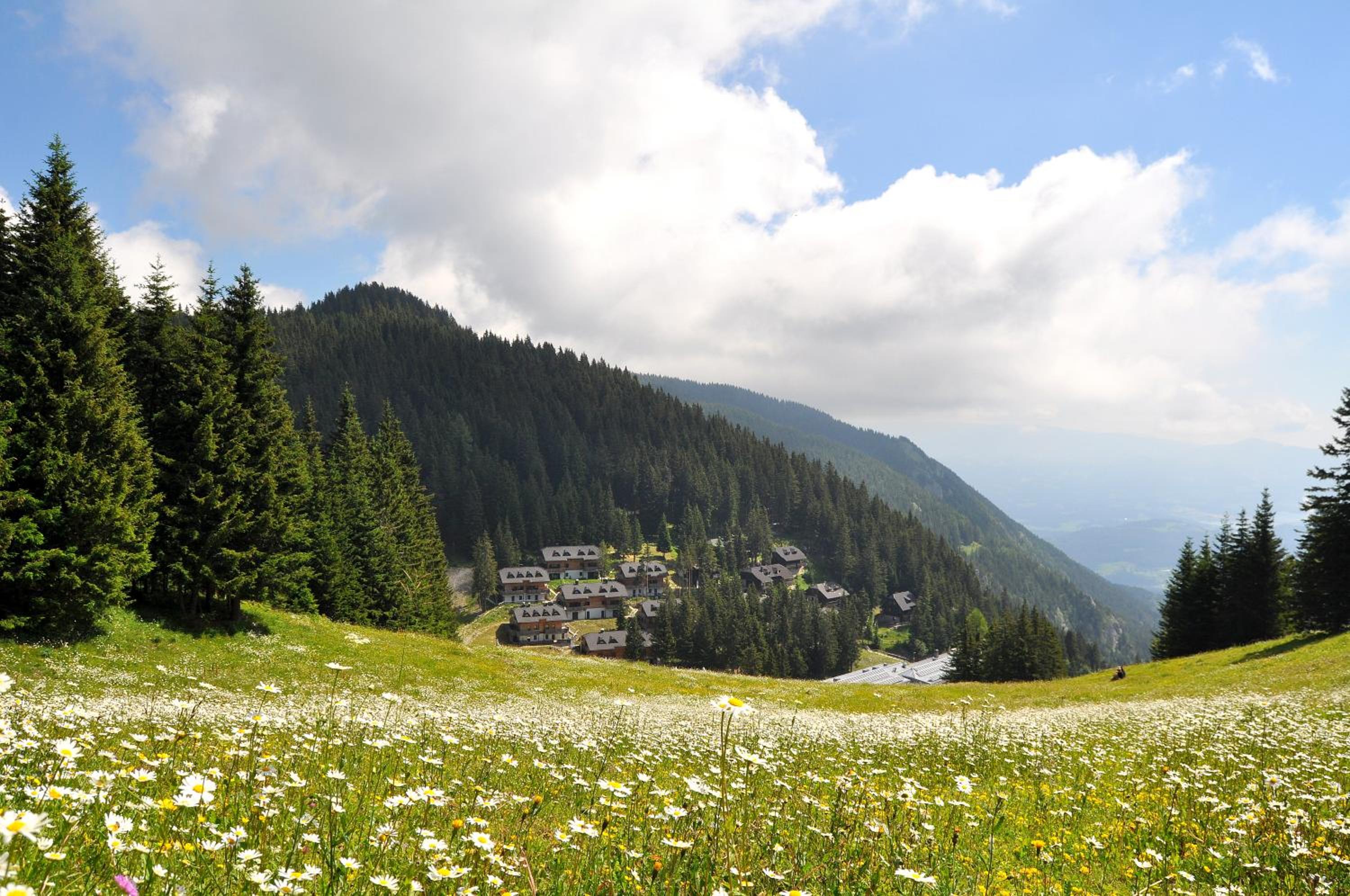 Apartment MOUNTAIN PARADISE Golte view 2