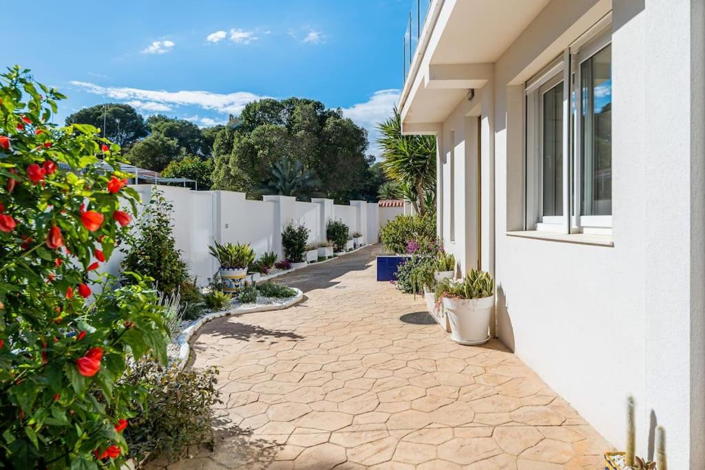 Entire Large Villa next to Award-winning beach