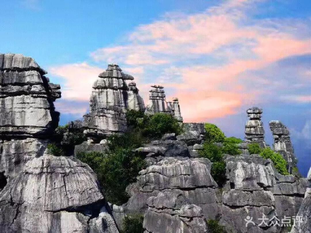 Stone Forest Mijia Guest House