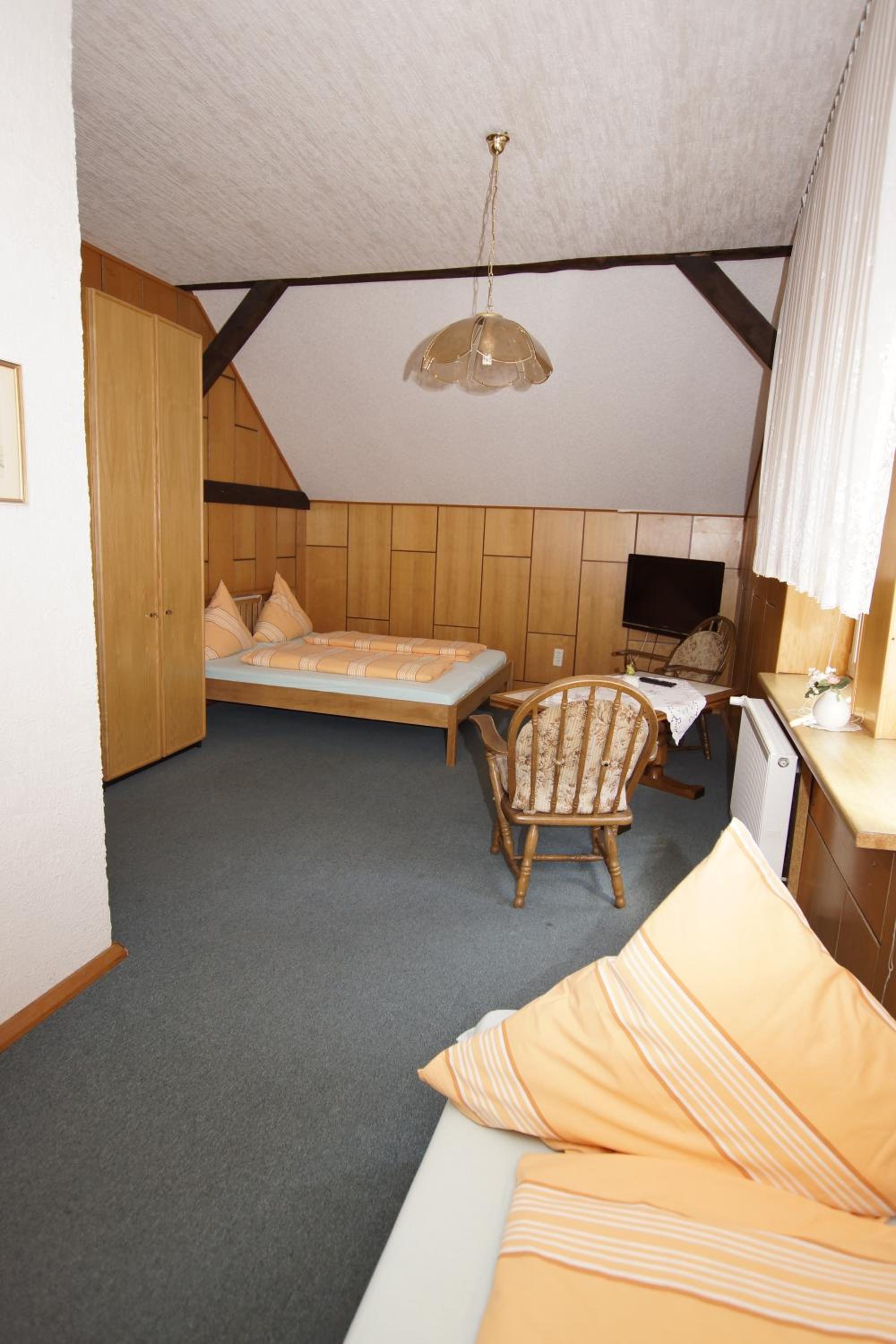 Pension Zum Froschkönig view 4