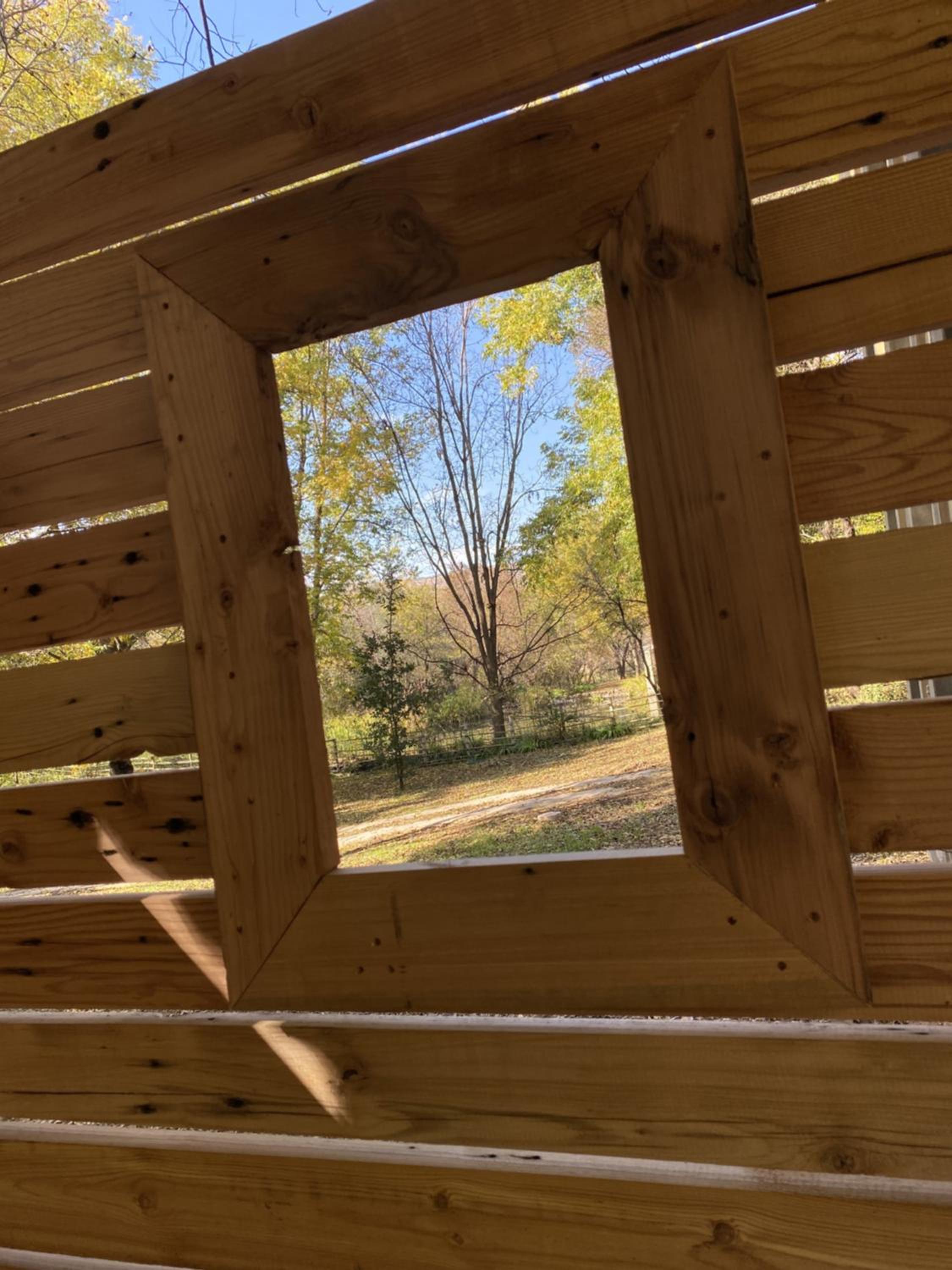 Porcupine House