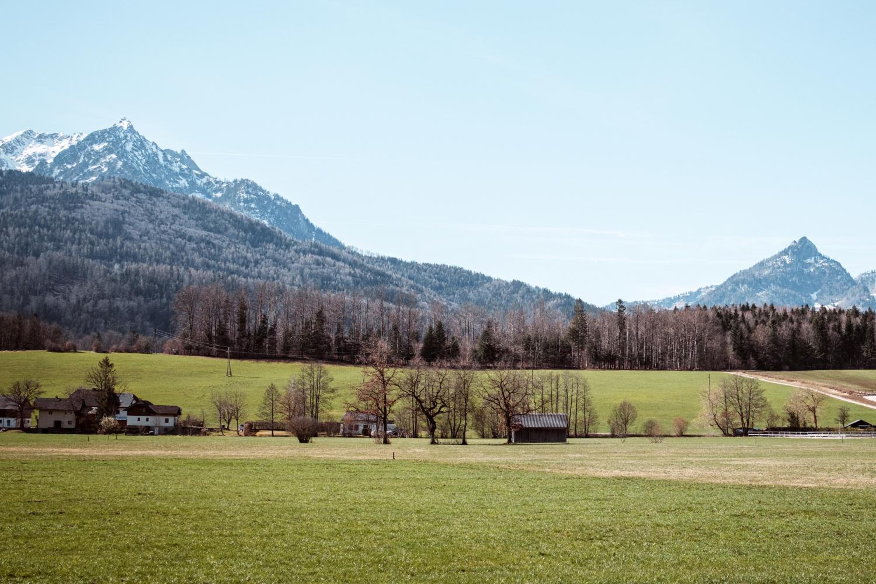 Hoamhaus