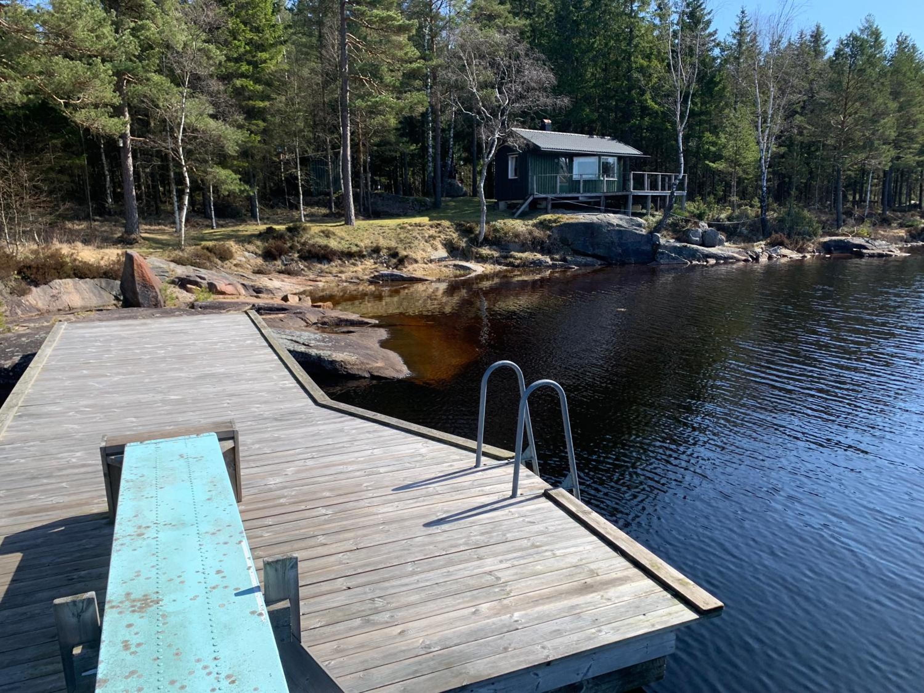 Sävsjön