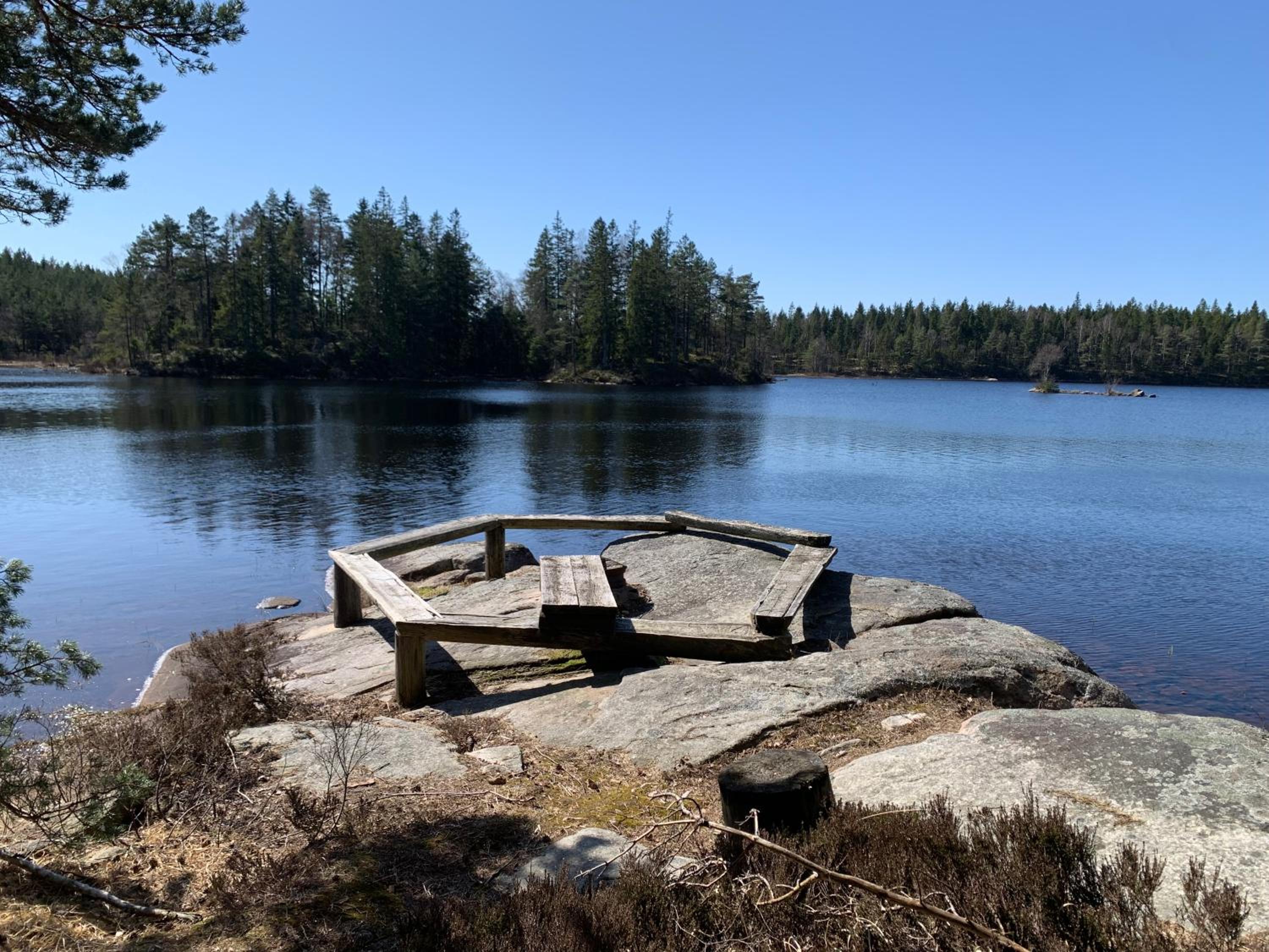 Sävsjön