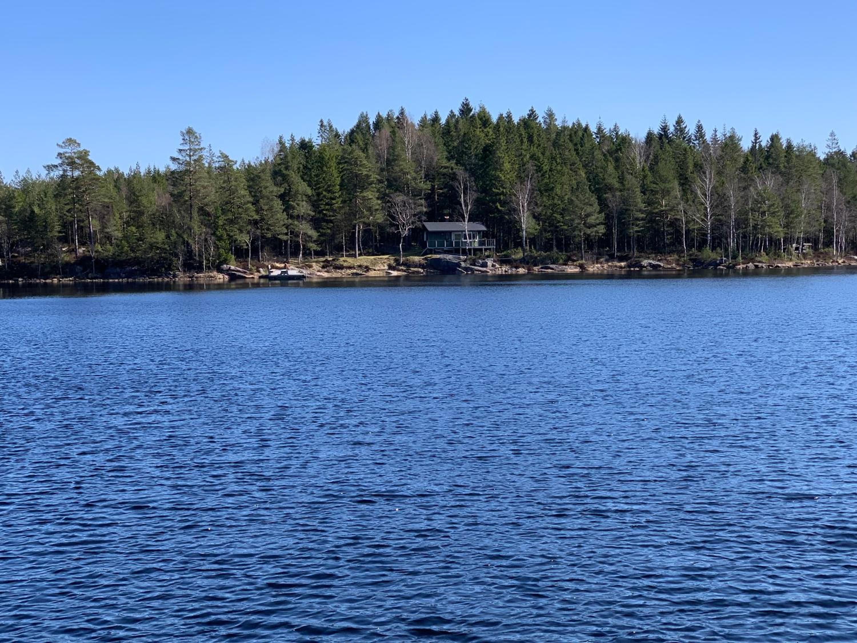 Sävsjön