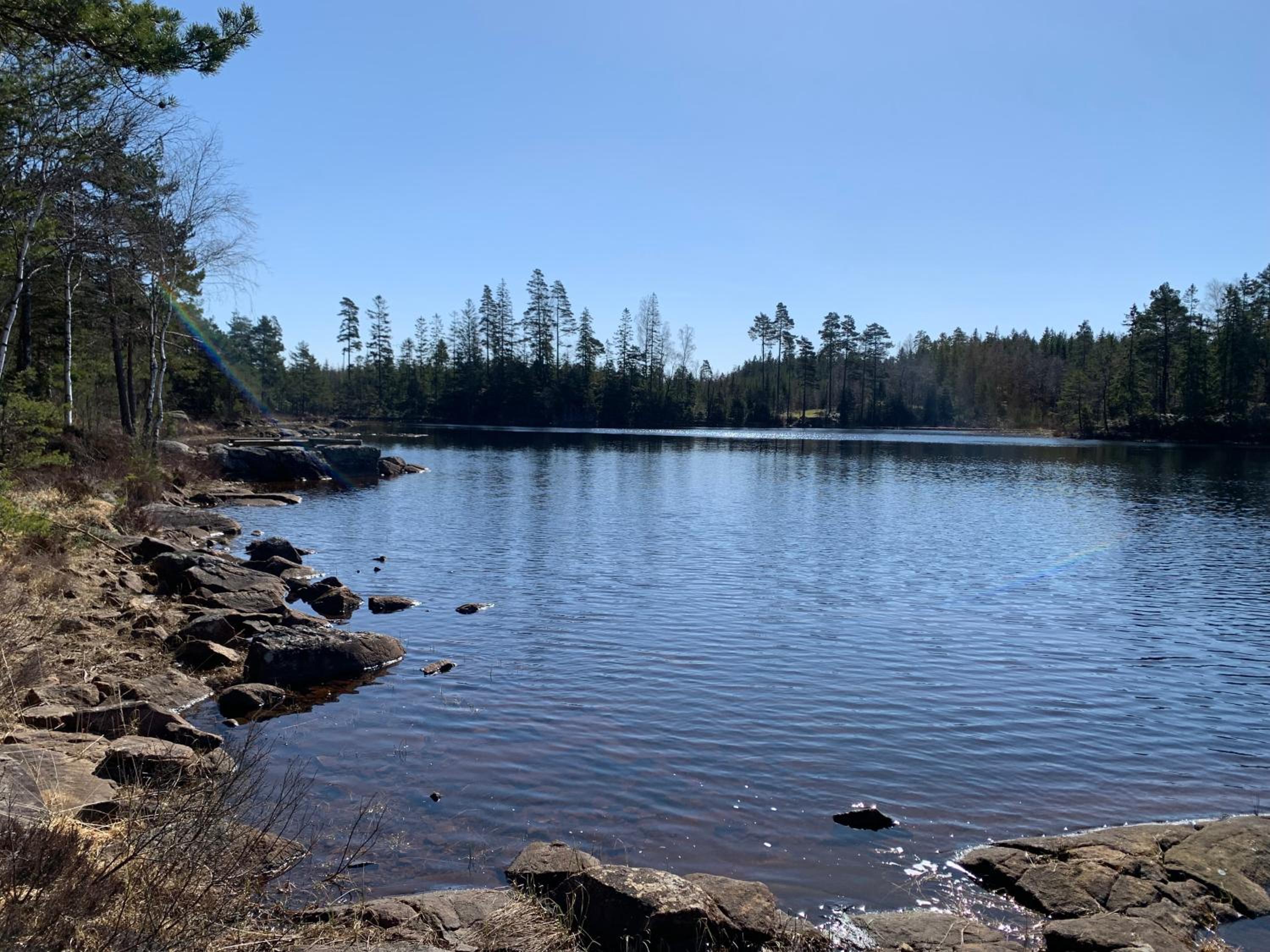 Sävsjön
