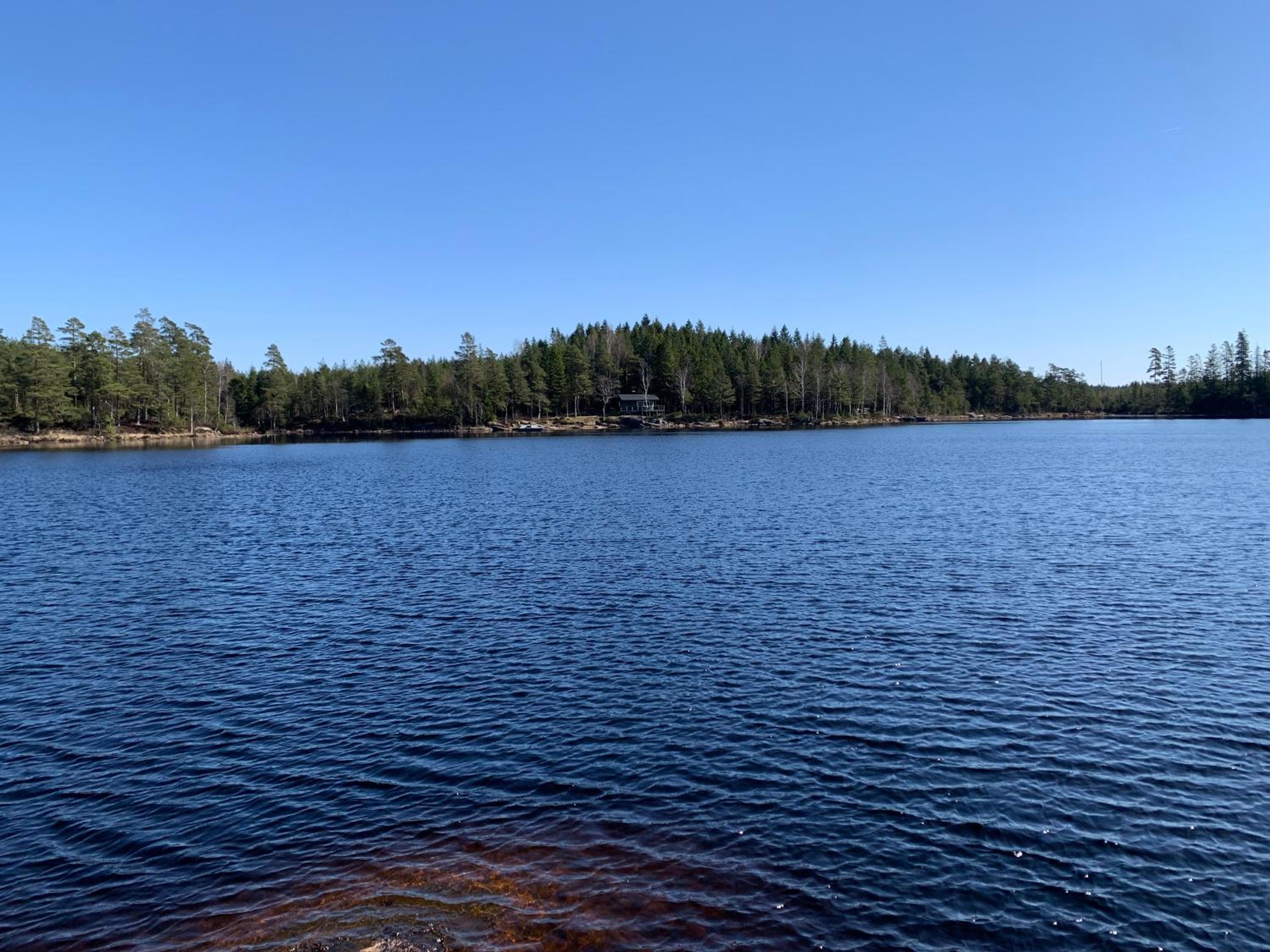 Sävsjön