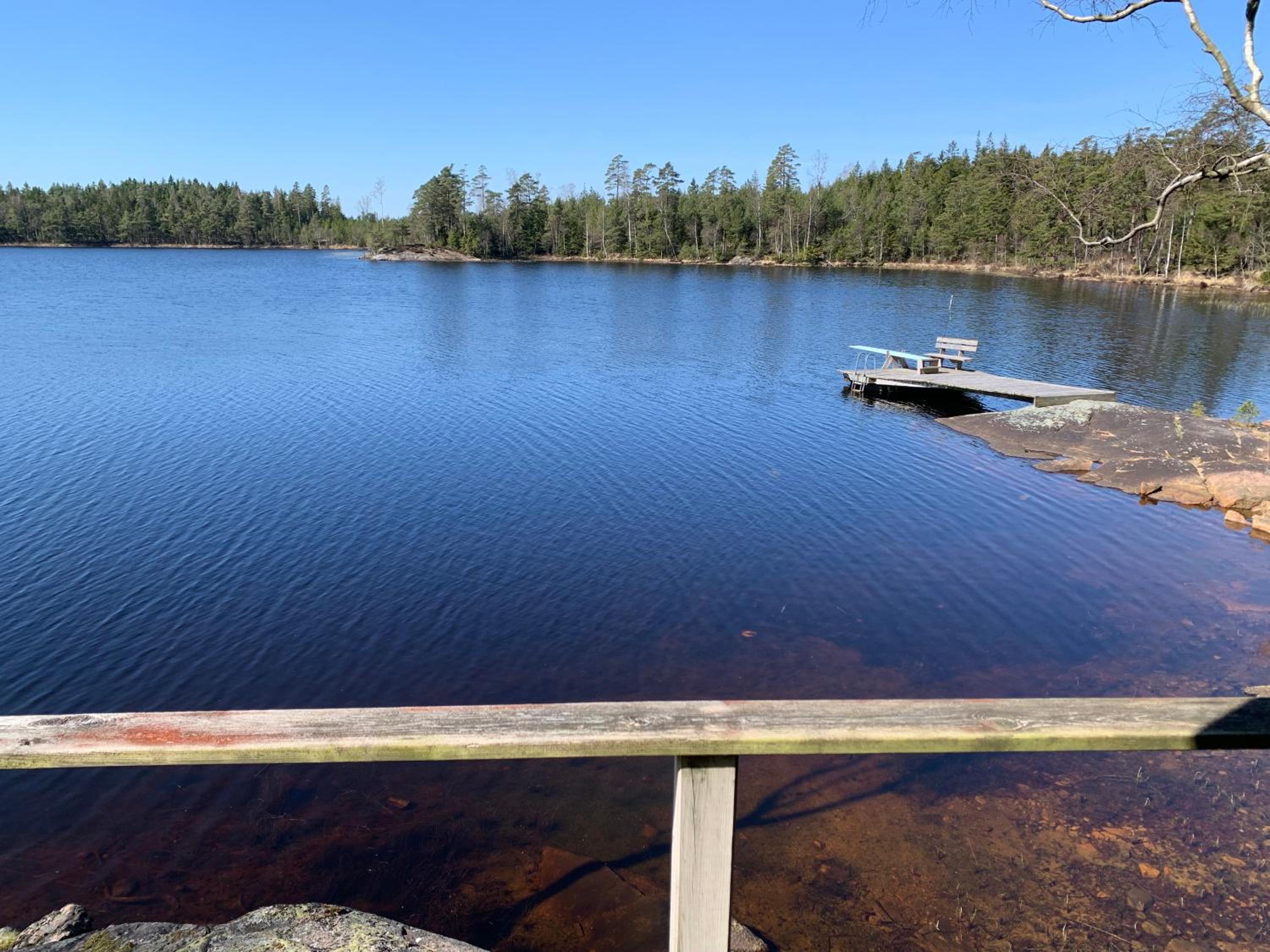 Sävsjön