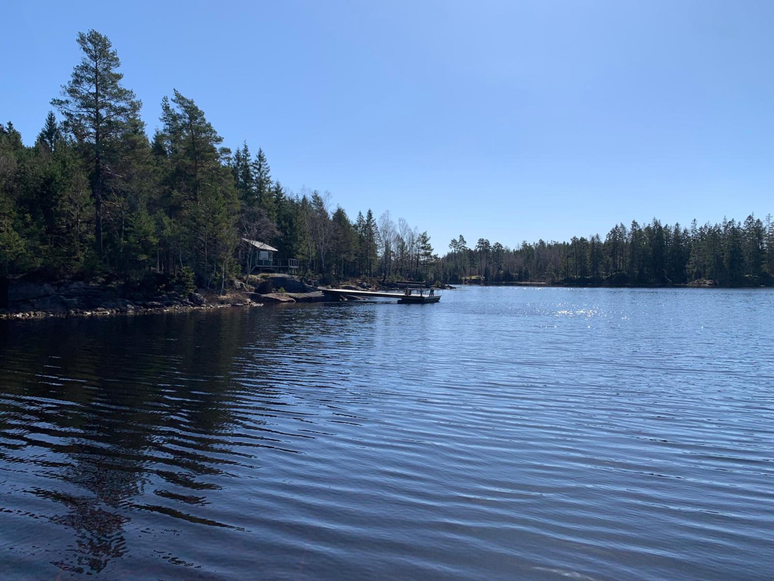 Sävsjön