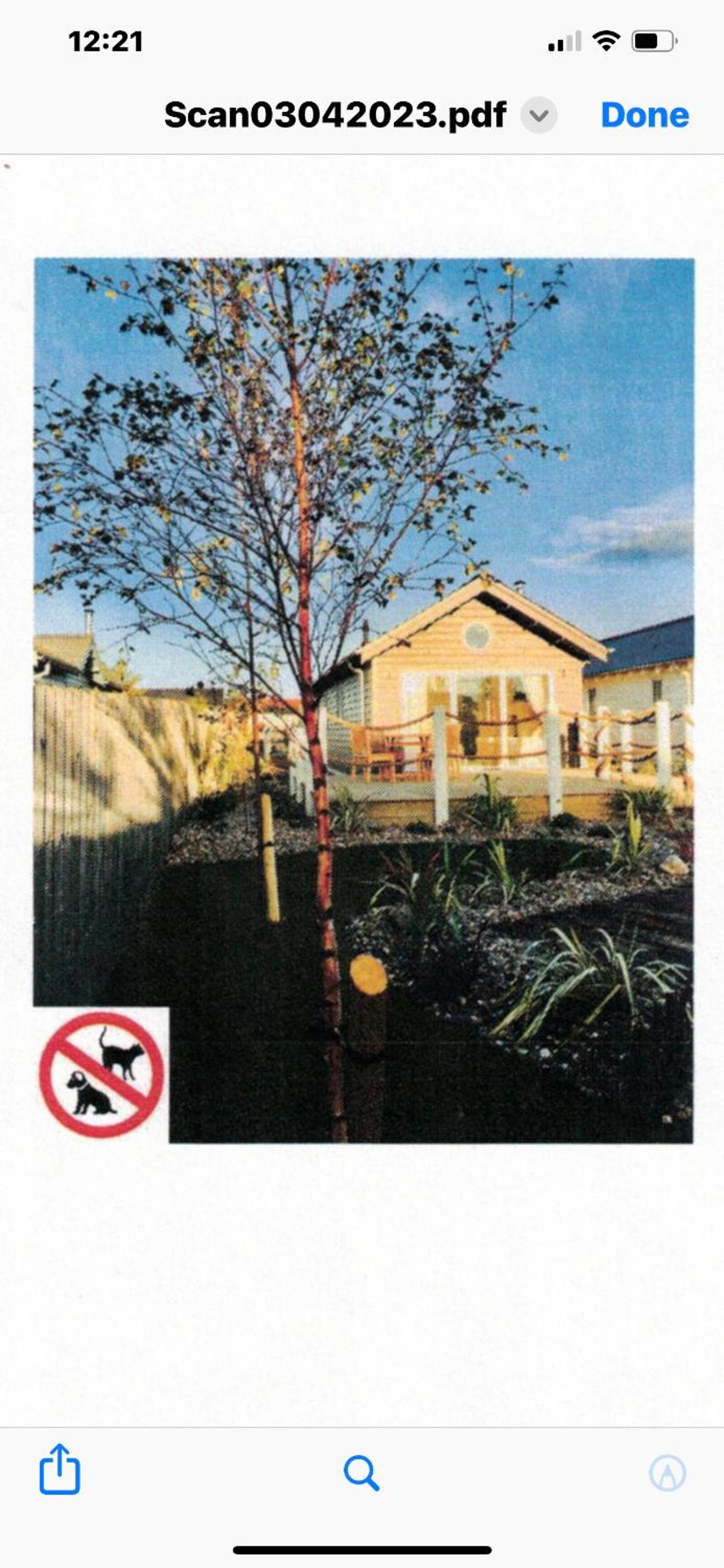 Photo 41