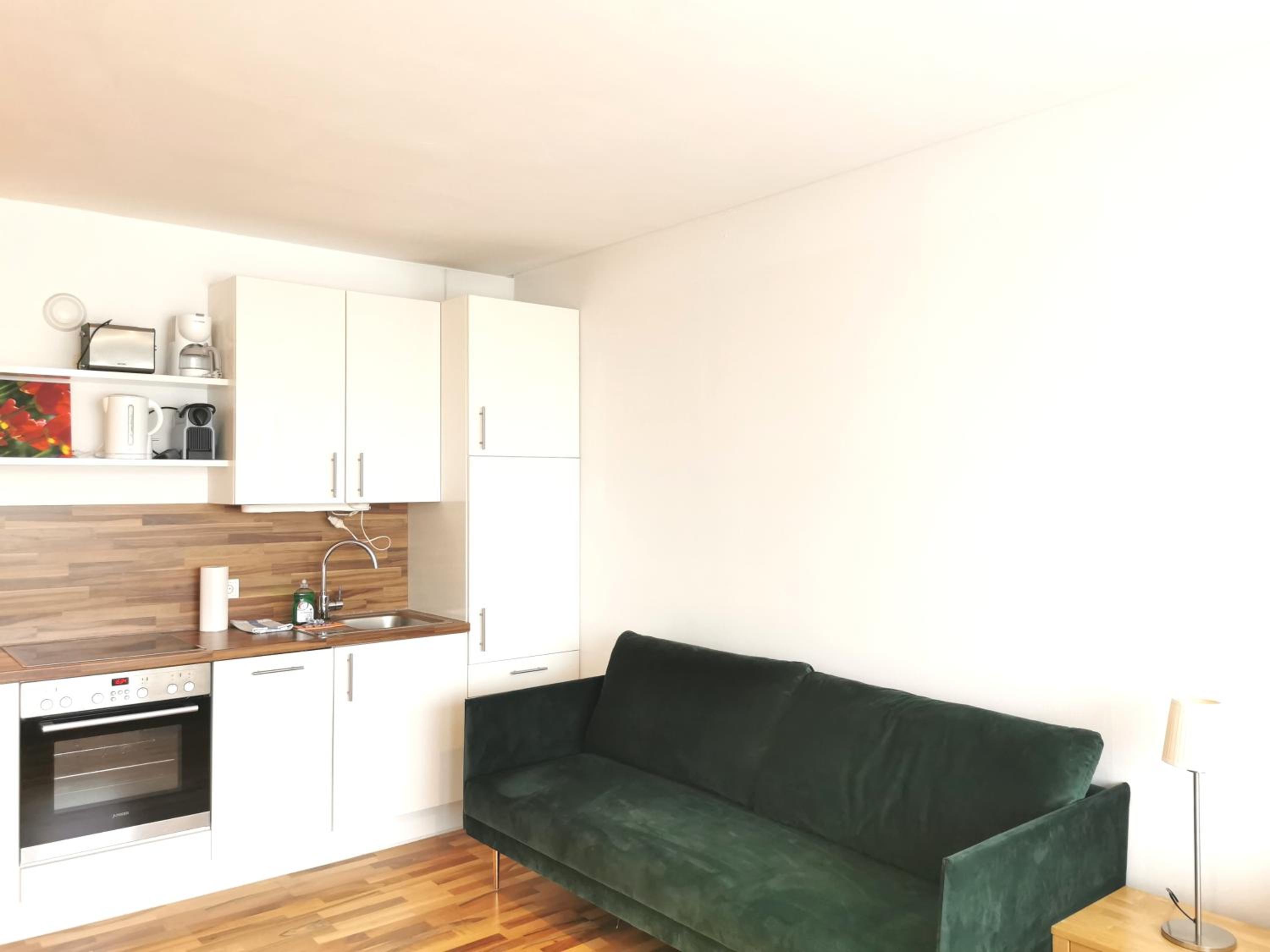 Rafael Kaiser - Apartment Sunlight view 5