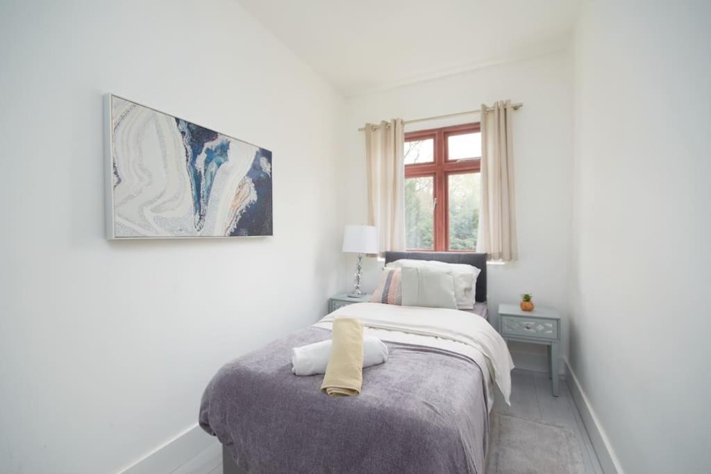 Large London home with Free parking view 4