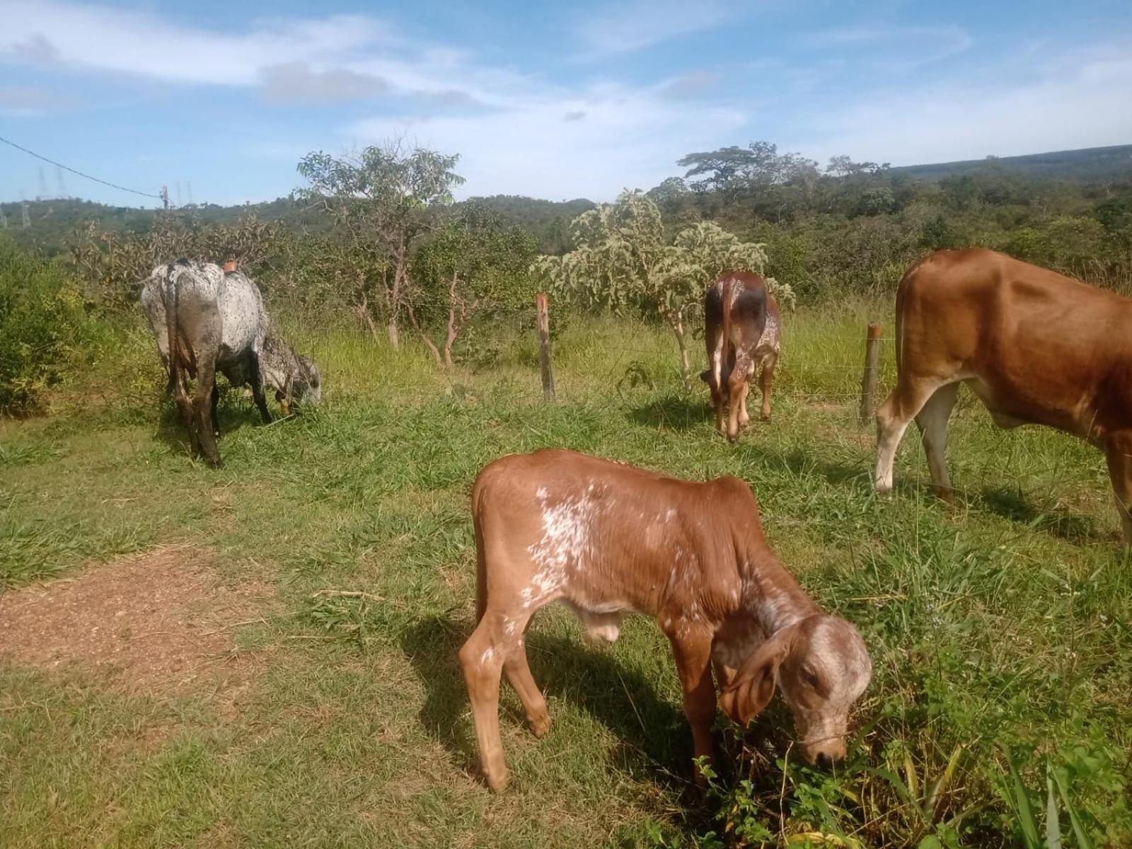 Casa confortável, pertinho da cidade e conectada a natureza